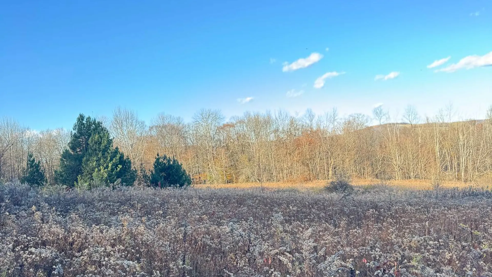 Property at 00 Town Line Rd, McGraw, NY 13101 28