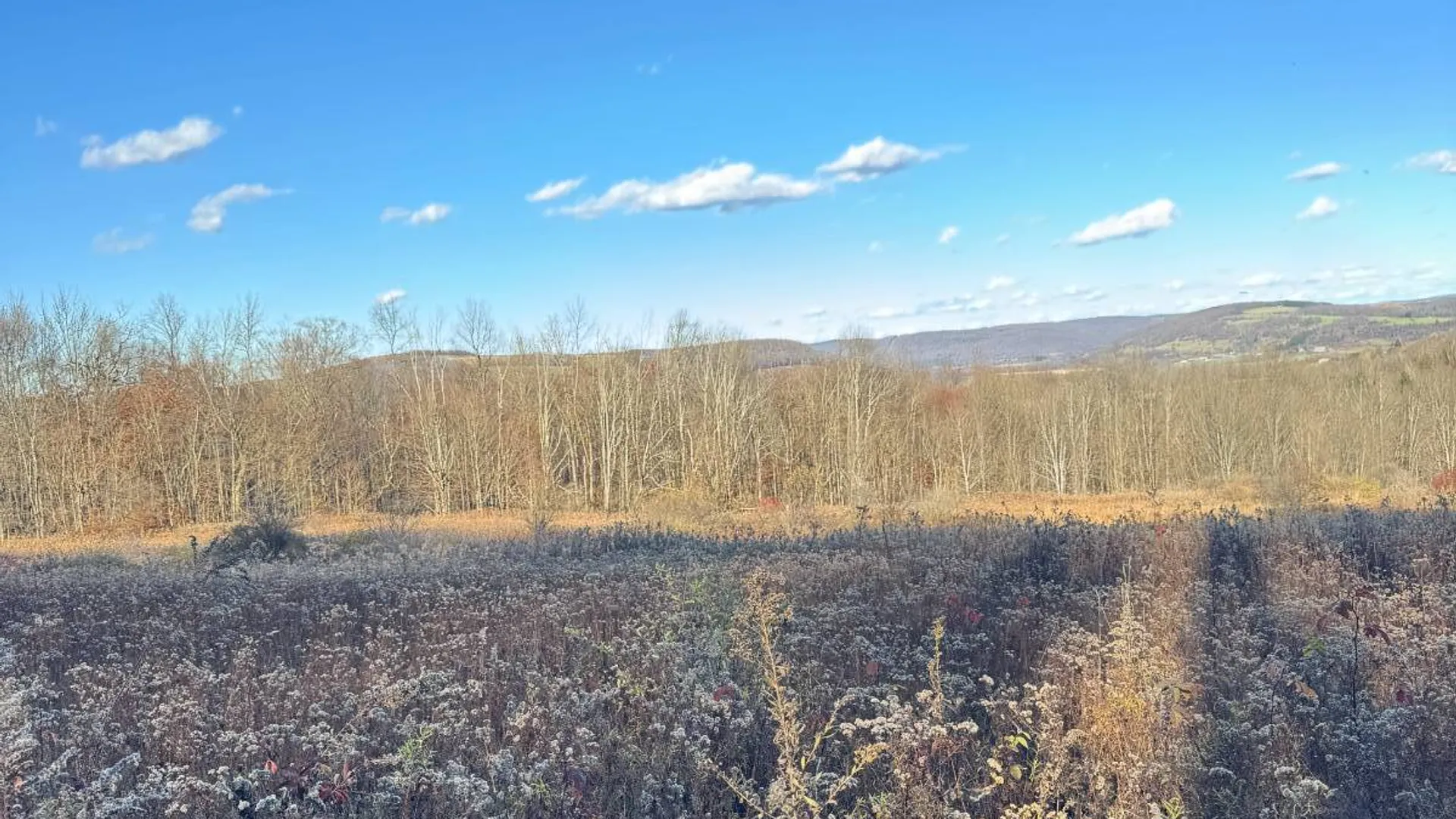 Property at 00 Town Line Rd, McGraw, NY 13101 29