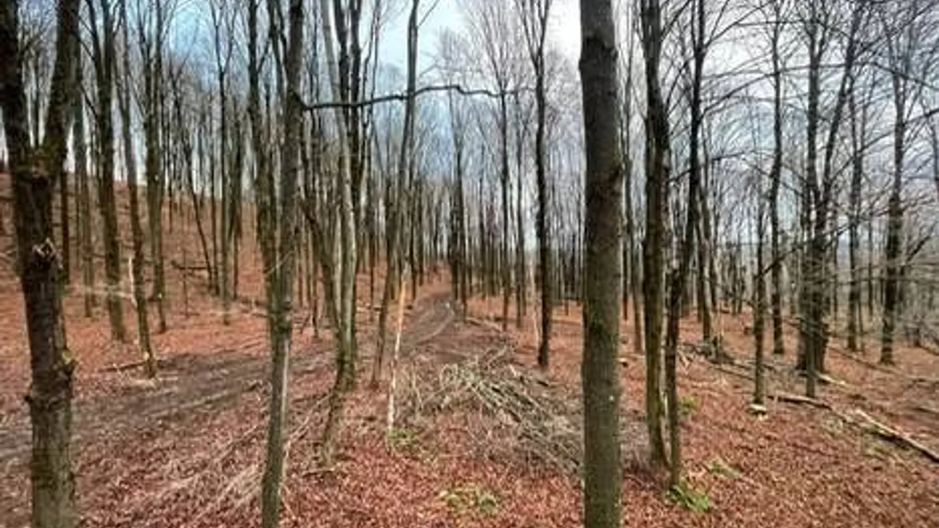 Property at 00 Town Line Rd, McGraw, NY 13101 3