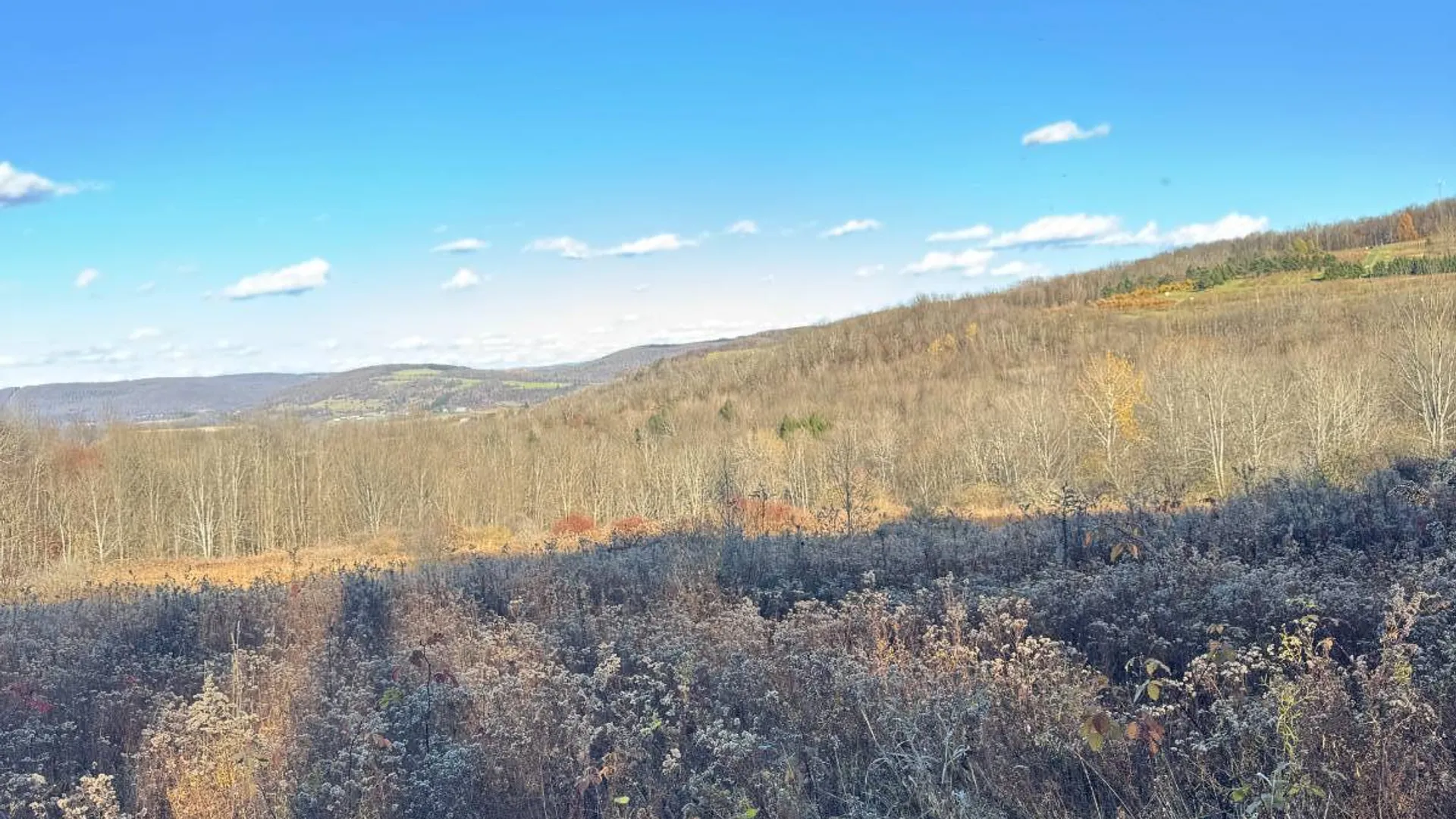 Property at 00 Town Line Rd, McGraw, NY 13101 30