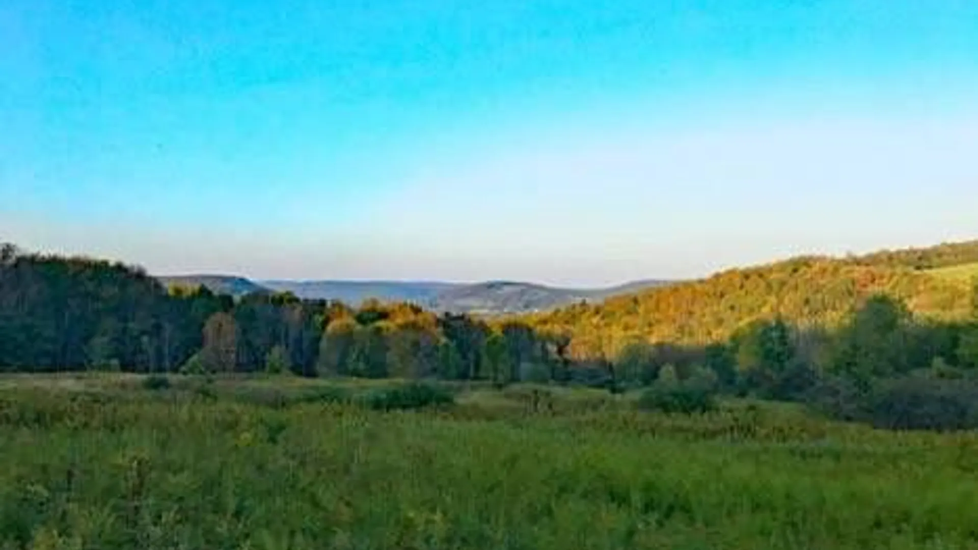 Property at 00 Town Line Rd, McGraw, NY 13101 6