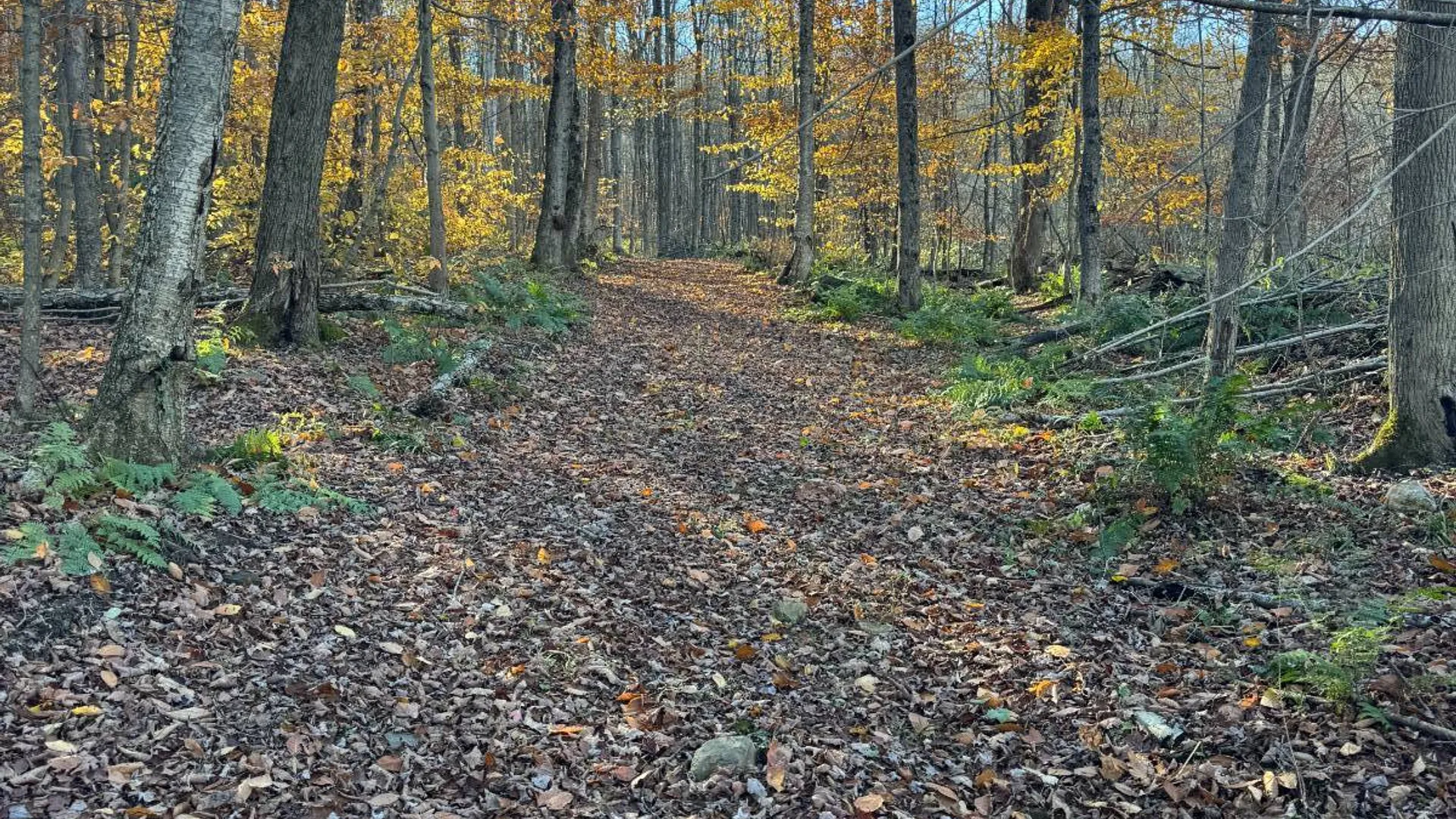 Property at 00 Town Line Rd, McGraw, NY 13101 7