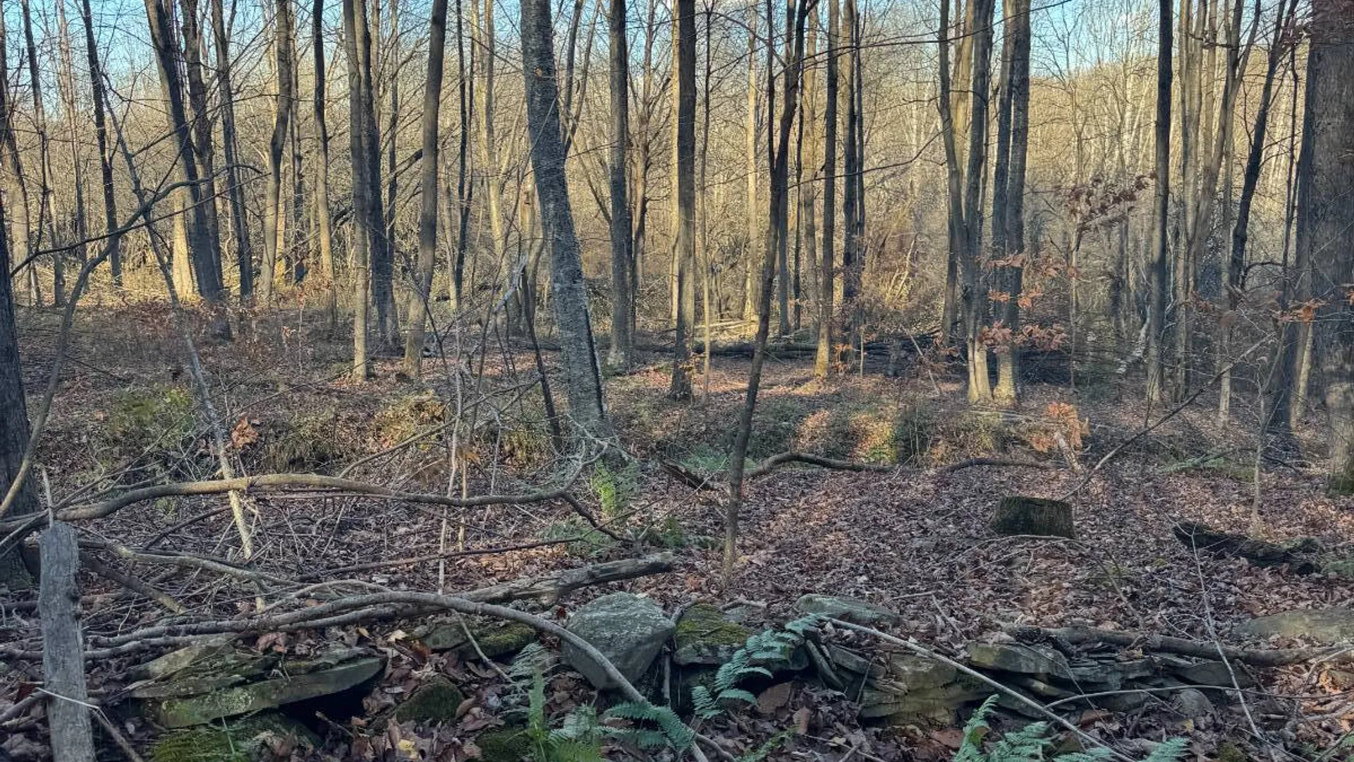 Property at 00 Town Line Rd, McGraw, NY 13101 9