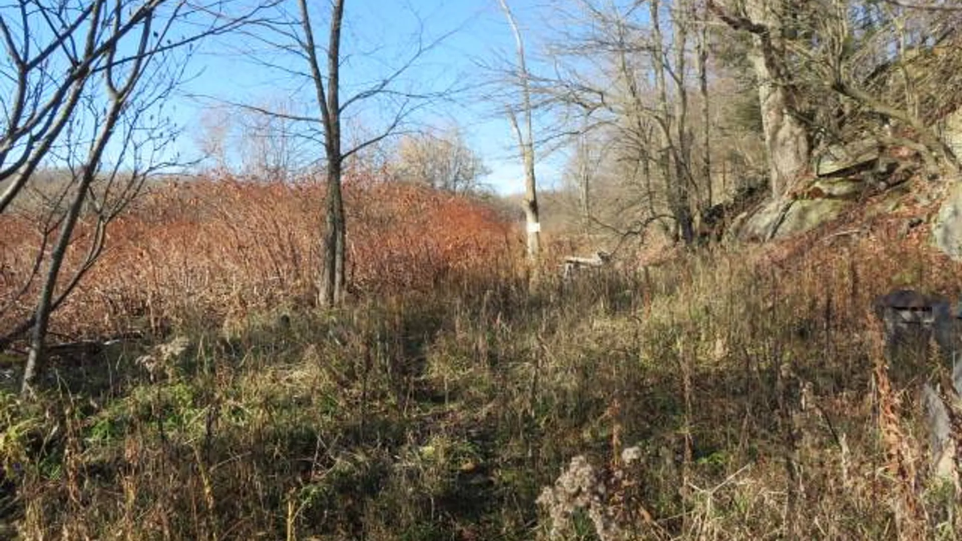 Property at 30269 Co Rte 22, Theresa, NY 13691 2