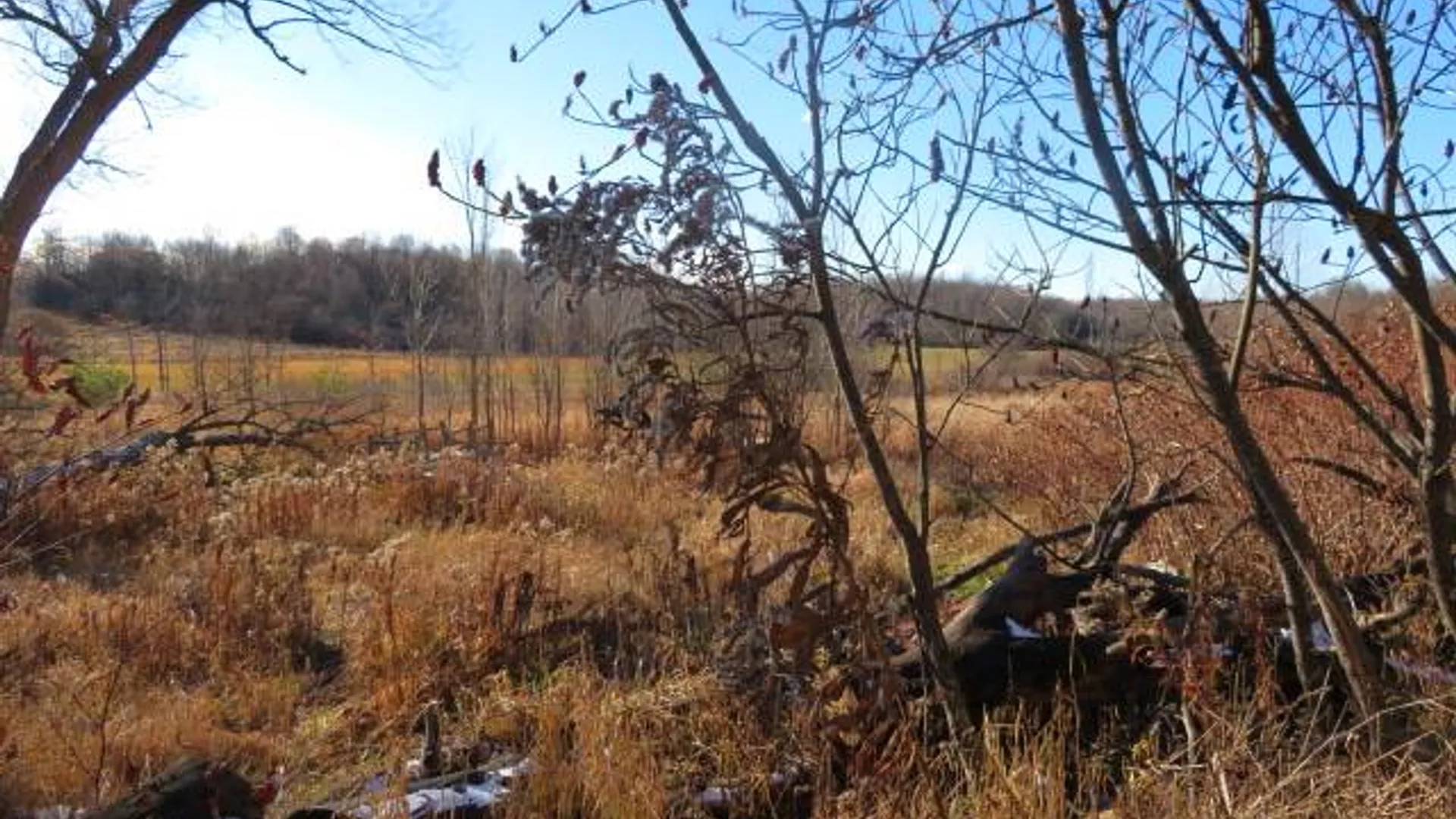 Property at 30269 Co Rte 22, Theresa, NY 13691 3