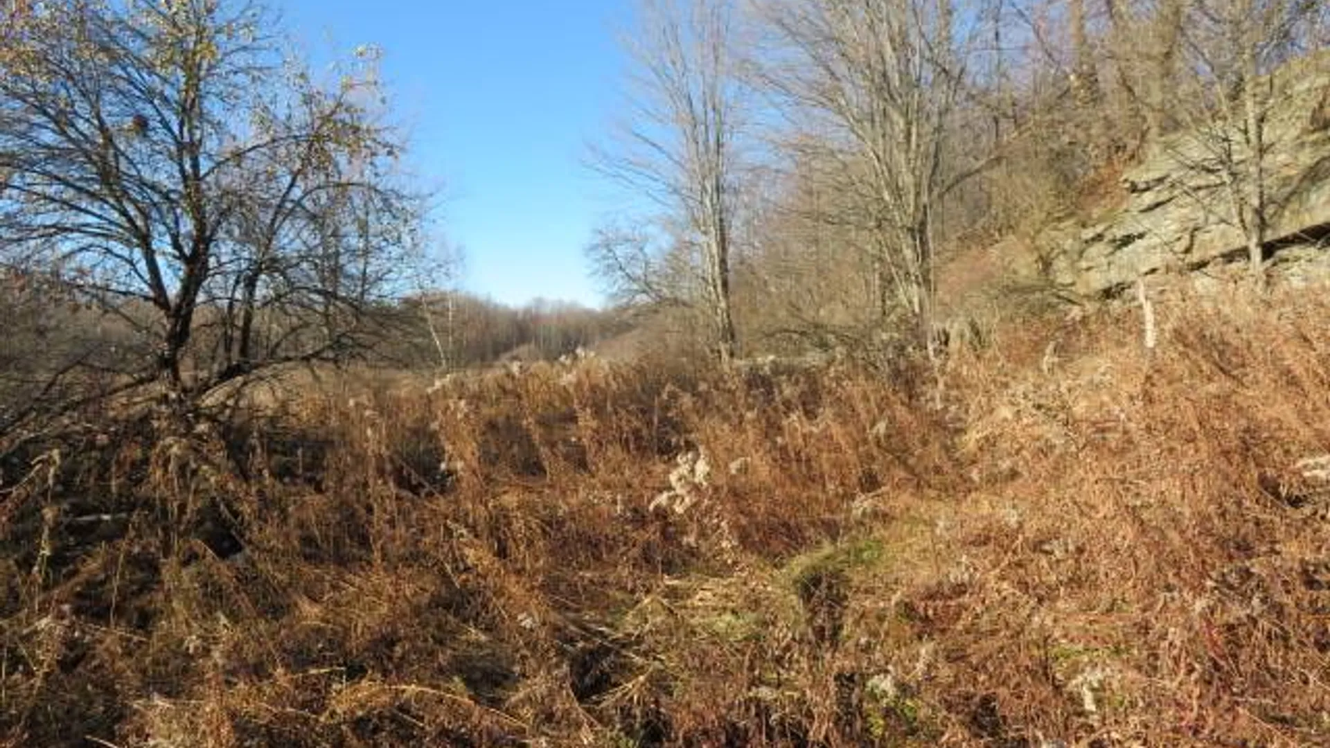 Property at 30269 Co Rte 22, Theresa, NY 13691 4