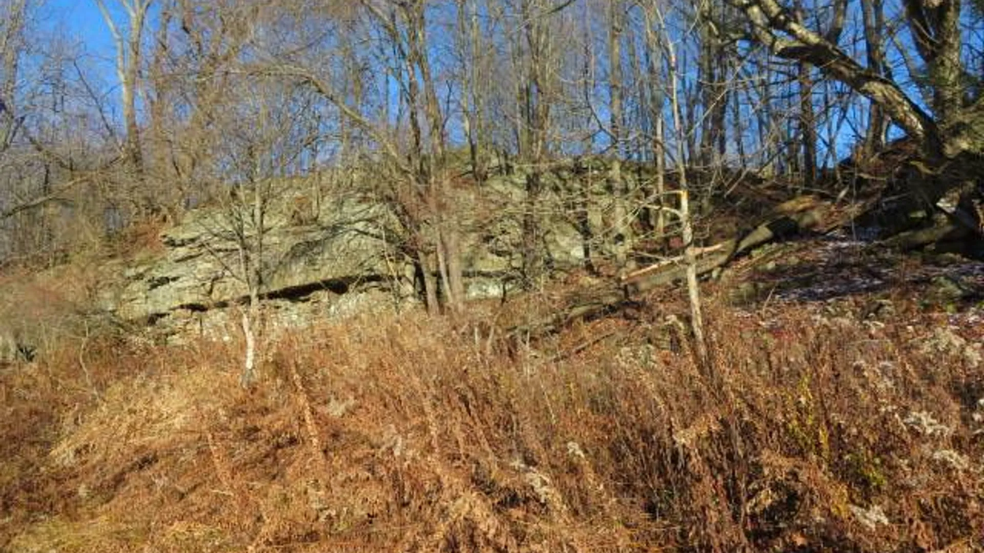 Property at 30269 Co Rte 22, Theresa, NY 13691 5