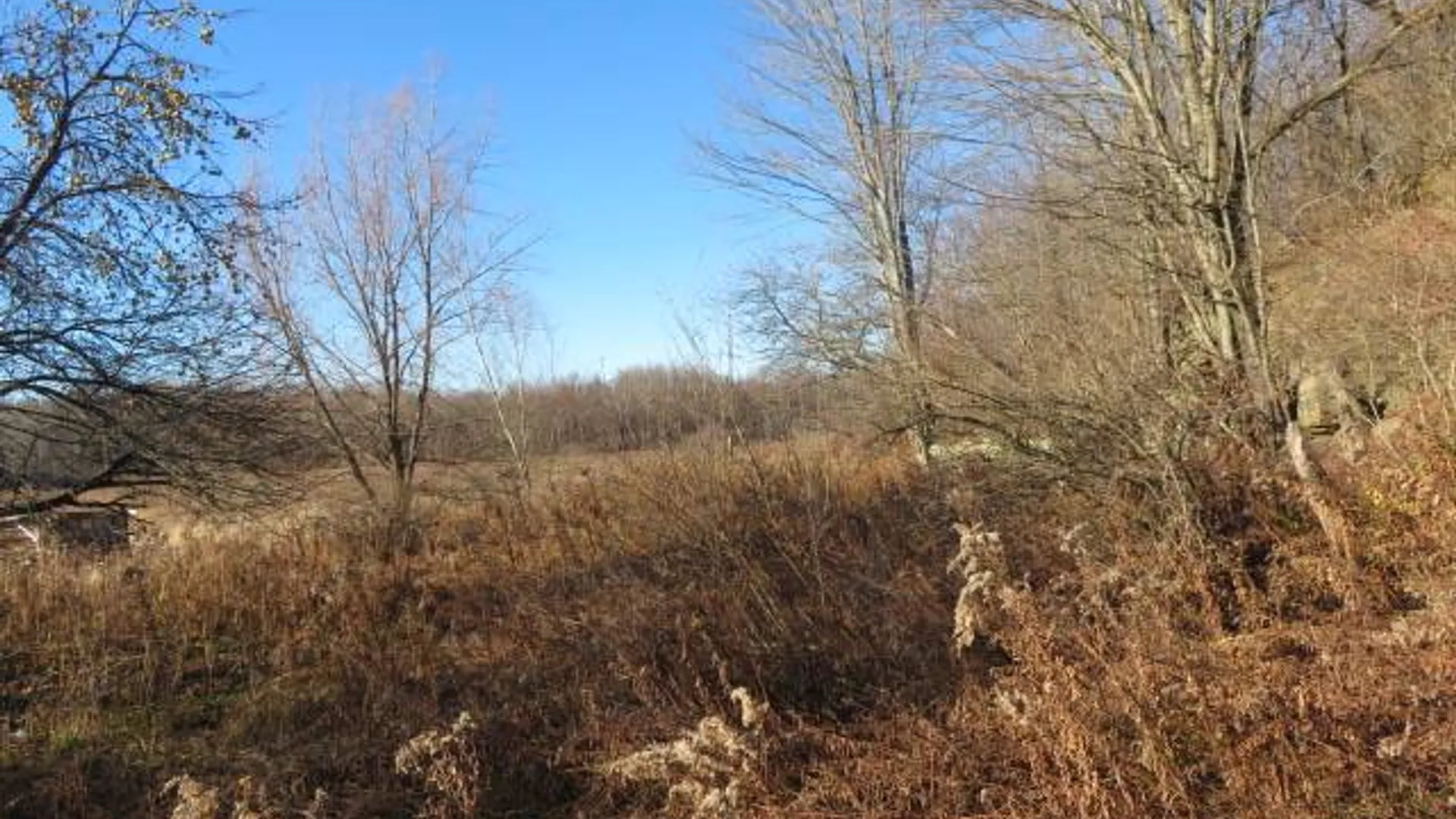 Property at 30269 Co Rte 22, Theresa, NY 13691 6