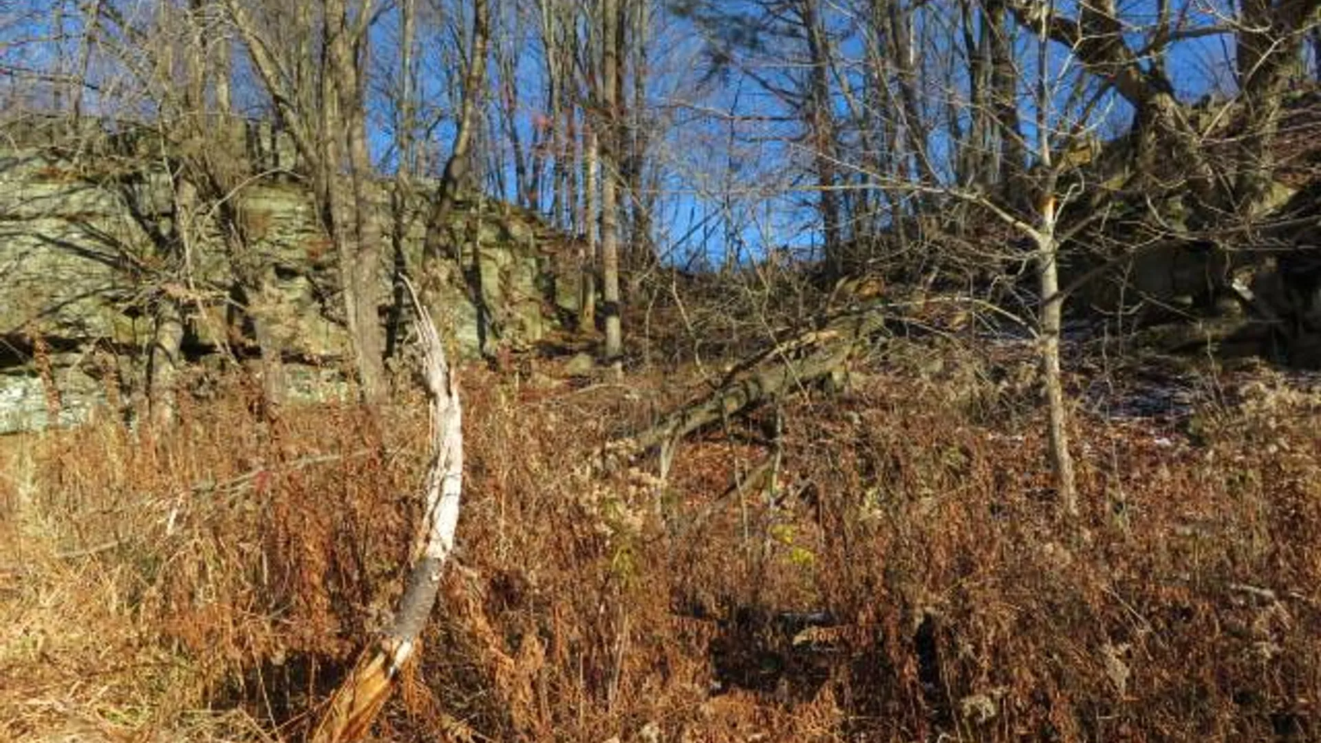 Property at 30269 Co Rte 22, Theresa, NY 13691 7