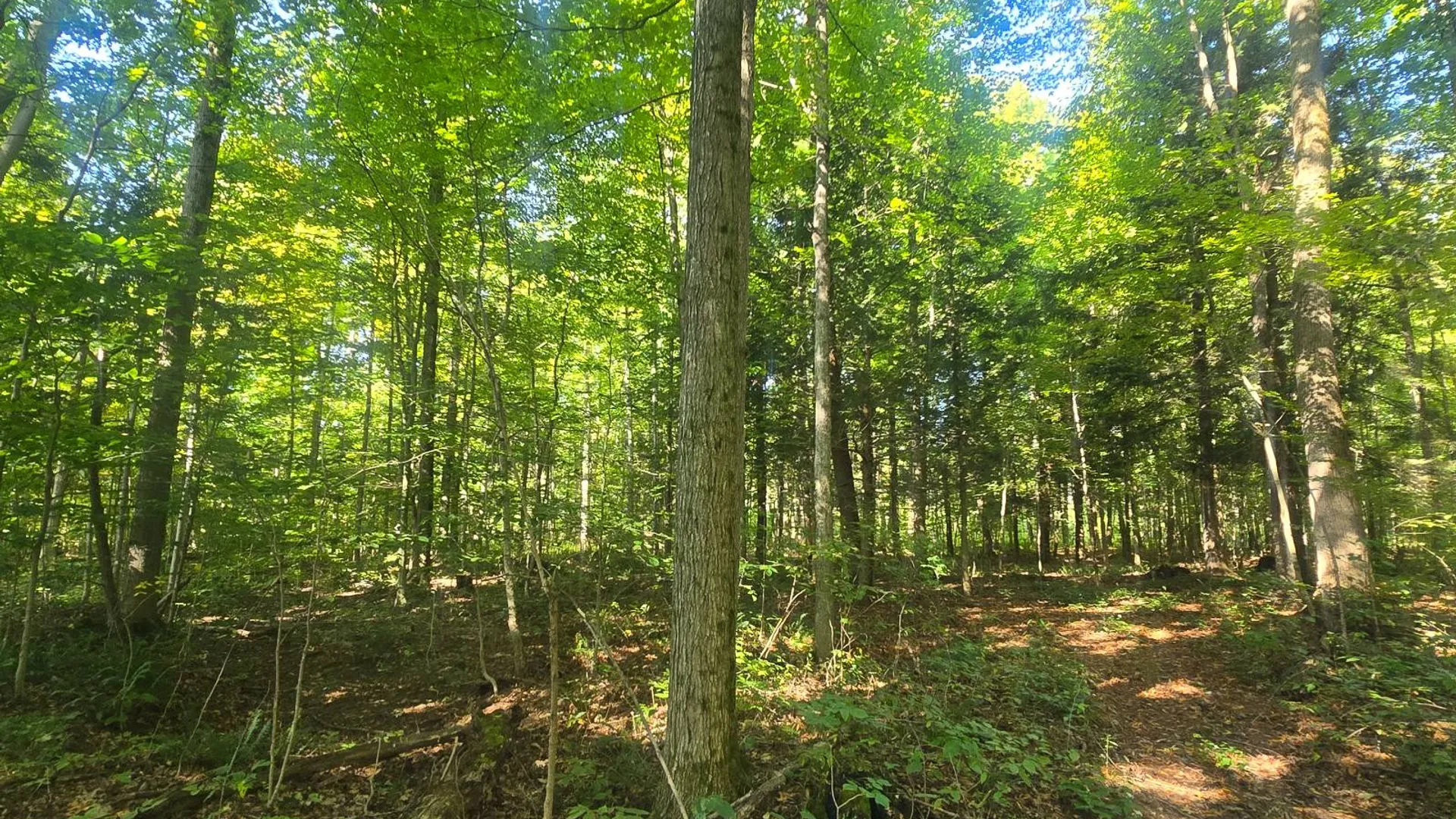 Property at 2970 Whitelaw Rd, Canastota, NY 13032 20