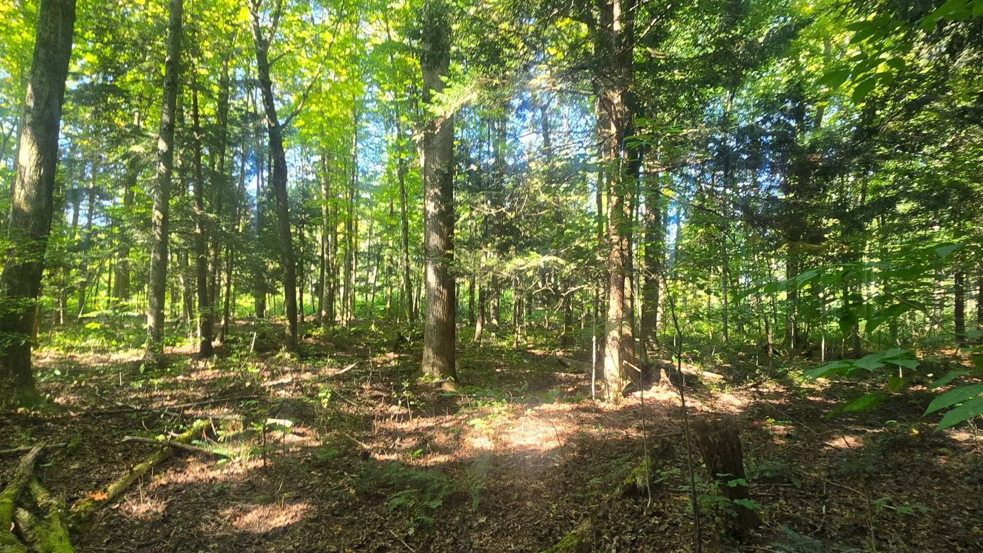 Property at 2970 Whitelaw Rd, Canastota, NY 13032 22