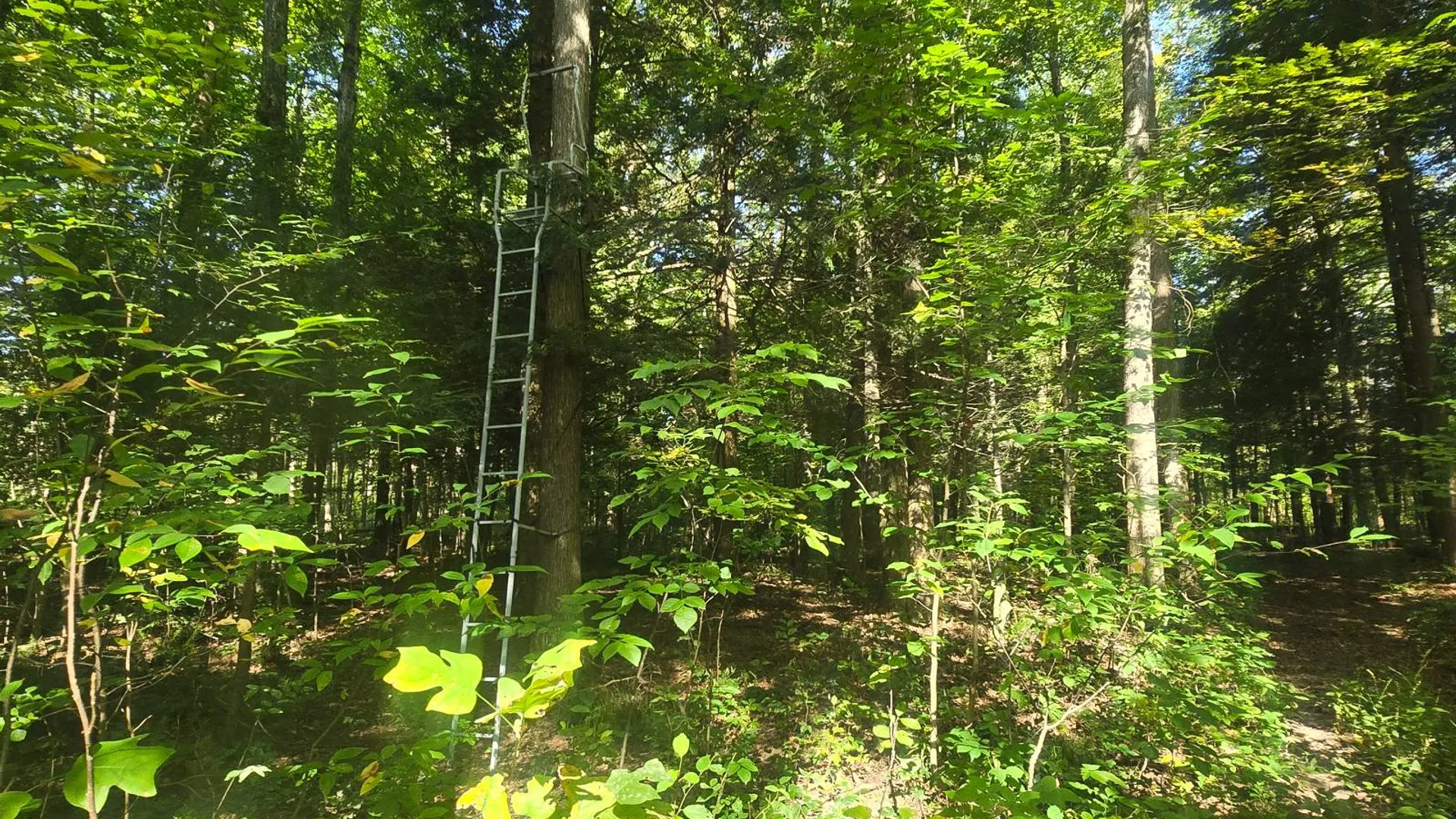 Property at 2970 Whitelaw Rd, Canastota, NY 13032 23