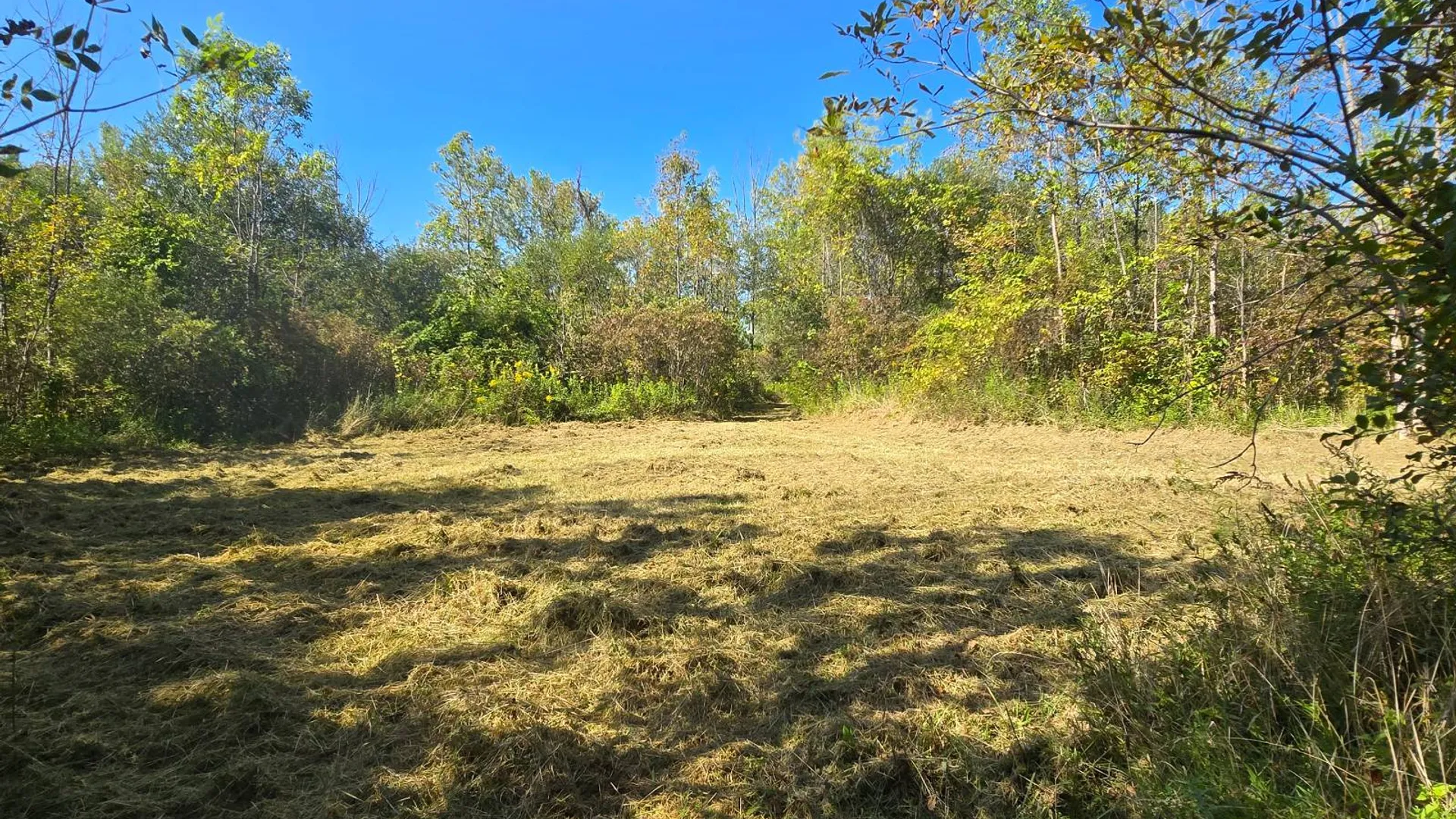 Property at 2970 Whitelaw Rd, Canastota, NY 13032 35