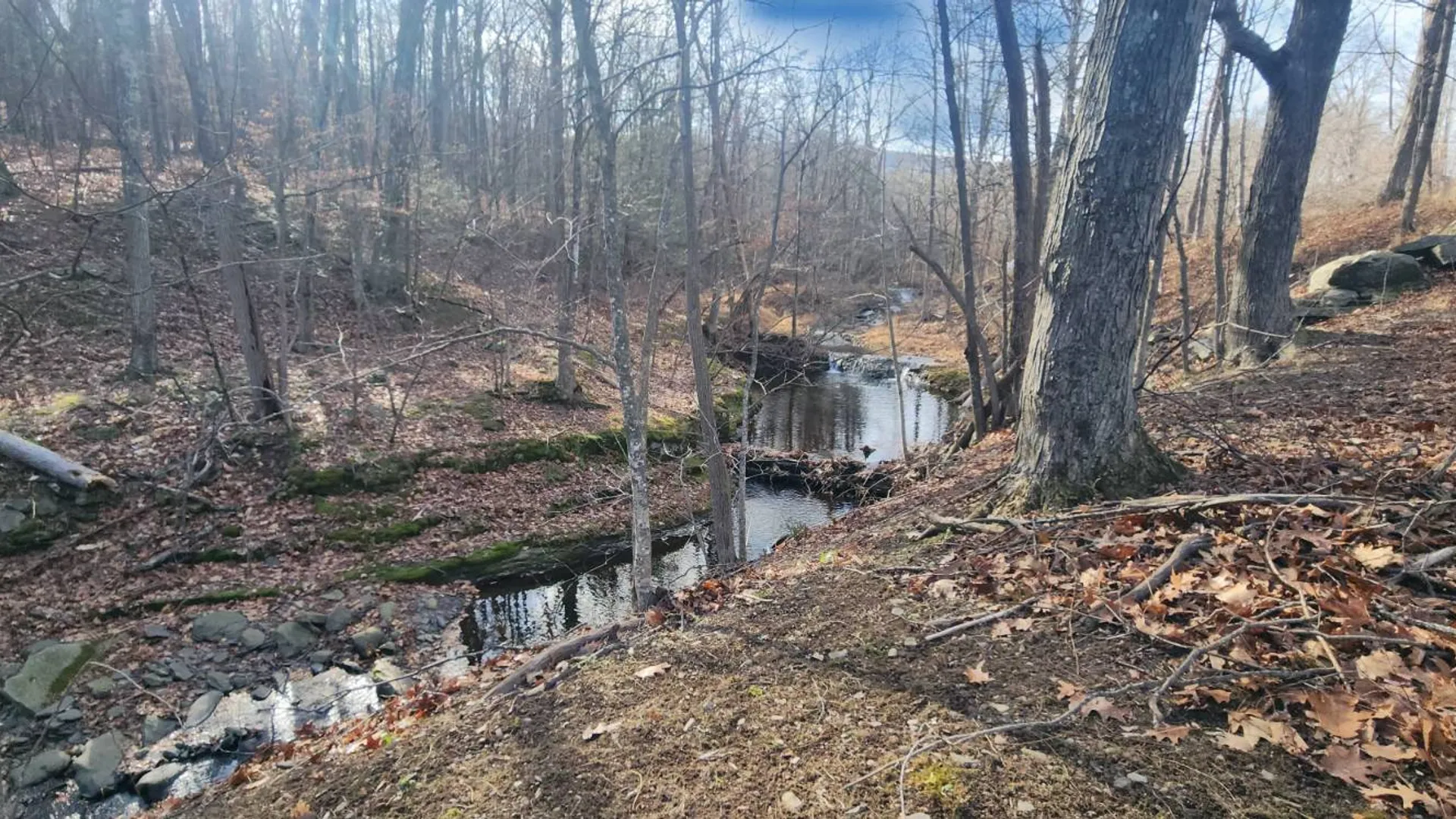 Property at 1199 Hervey Sunside Rd., Cornwallville, NY 12418 2