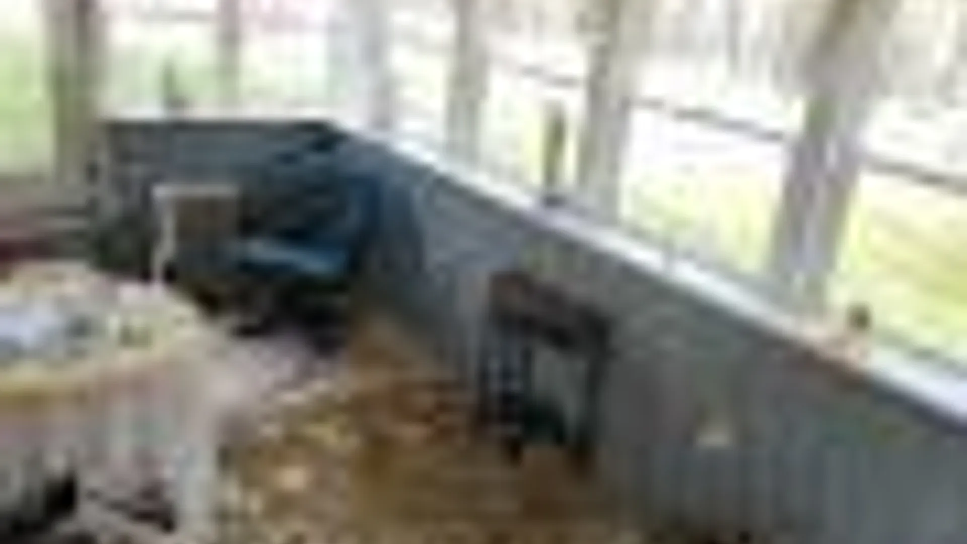Property at 1199 Hervey Sunside Rd., Cornwallville, NY 12418 23