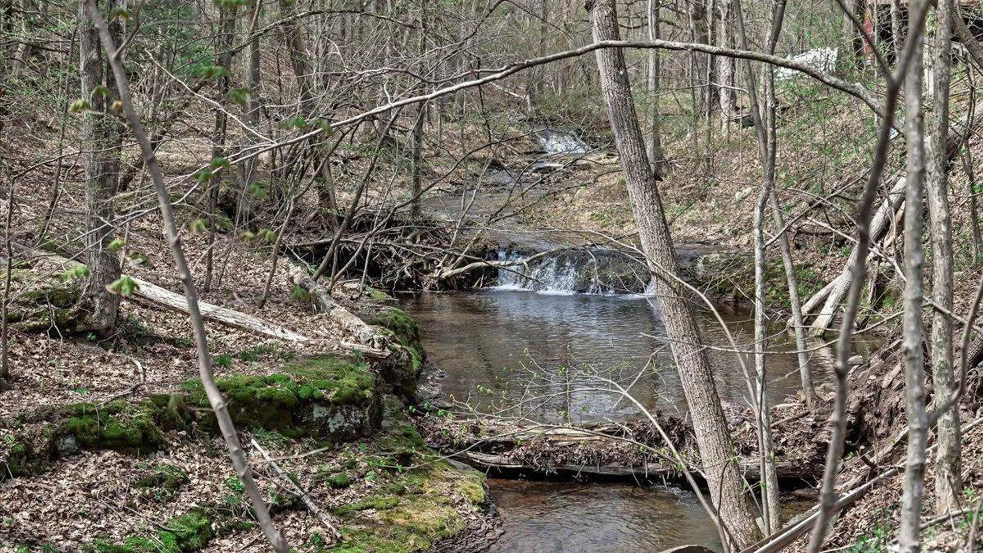 Property at 1199 Hervey Sunside Rd., Cornwallville, NY 12418 26