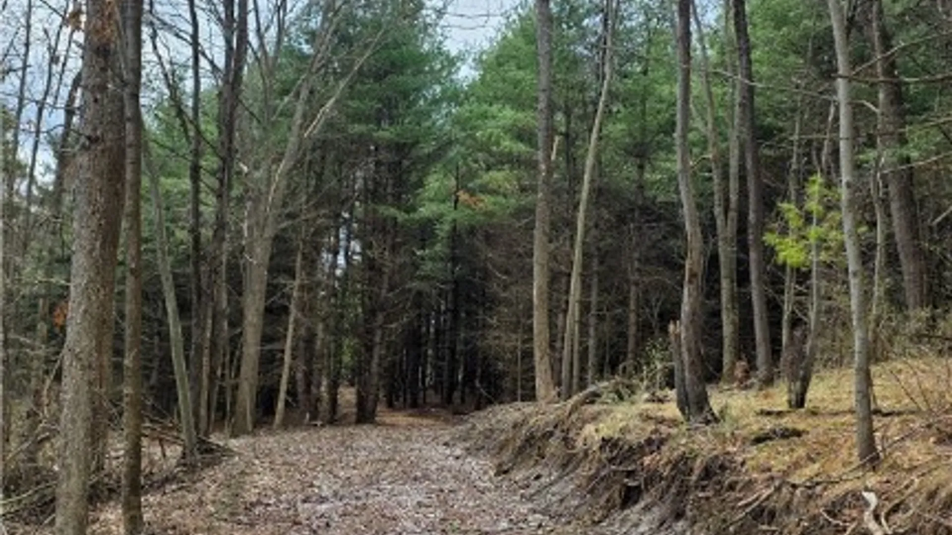 Property at 001 Bannister Road, Horseheads, NY 14845 2