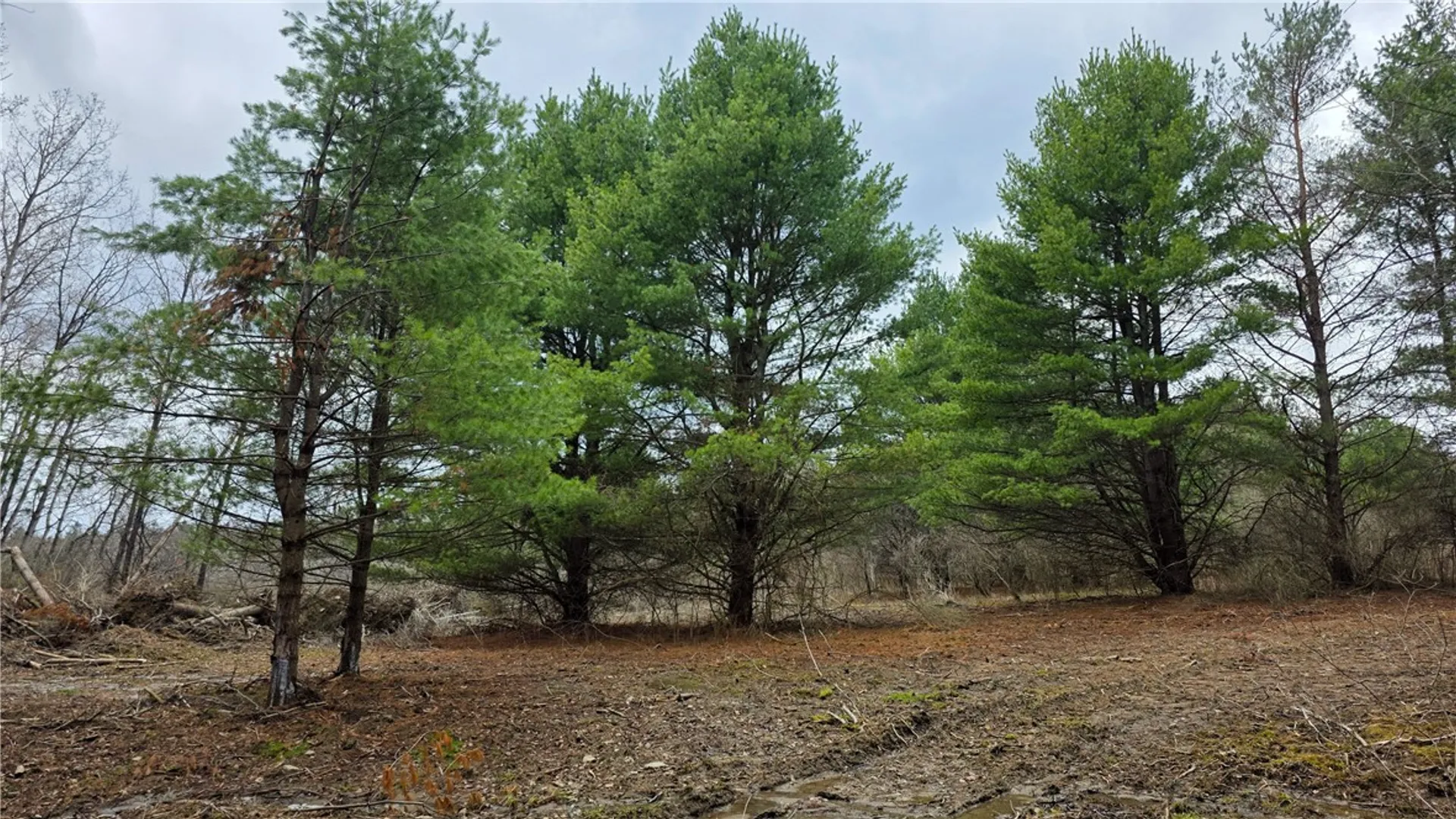 Property at 001 Bannister Road, Horseheads, NY 14845 3