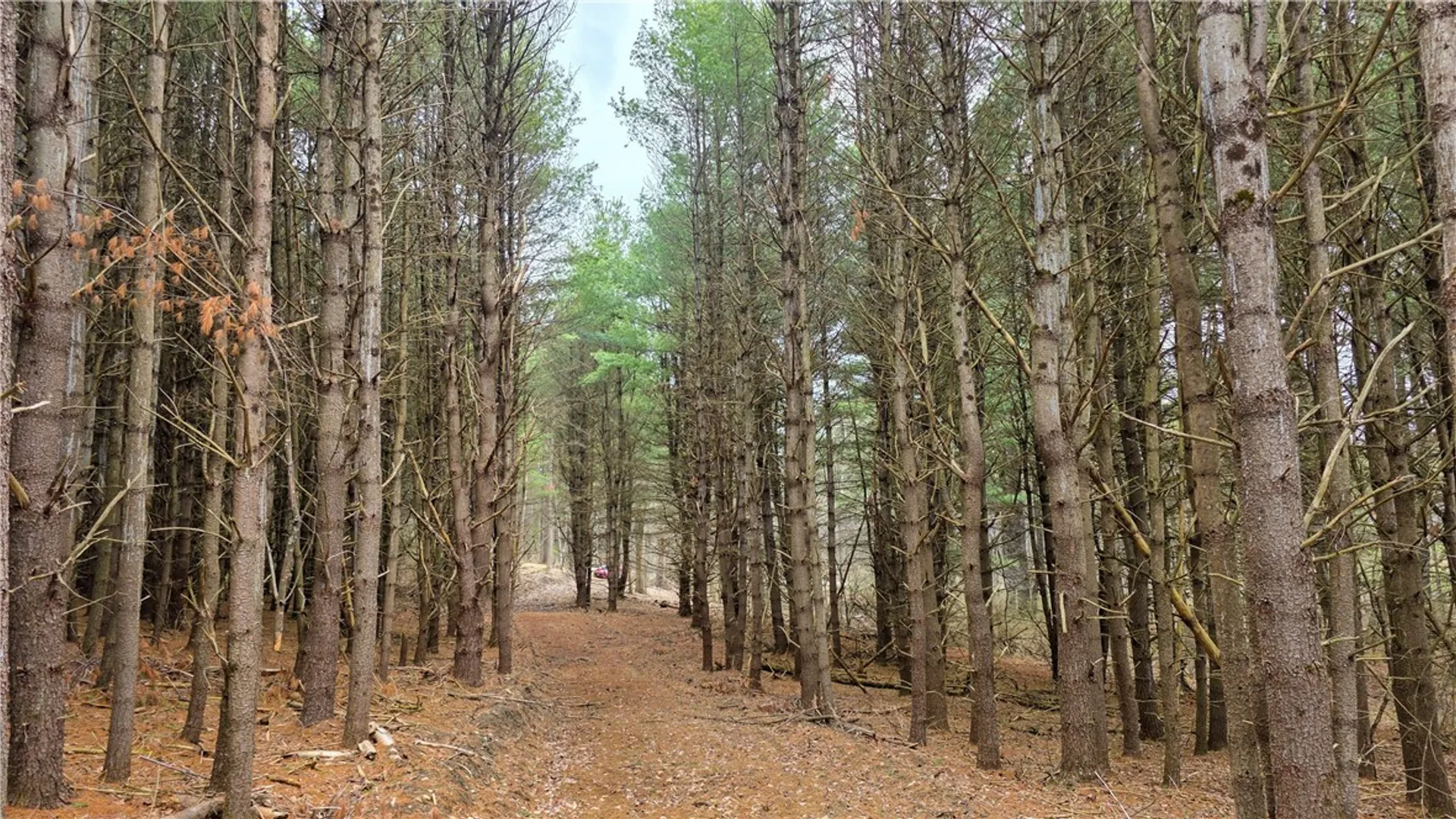 Property at 001 Bannister Road, Horseheads, NY 14845 4