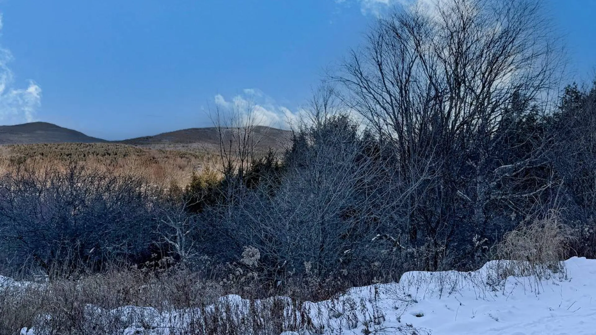 Property at L44.10 Panarama Ln, Windham, NY 12496 10