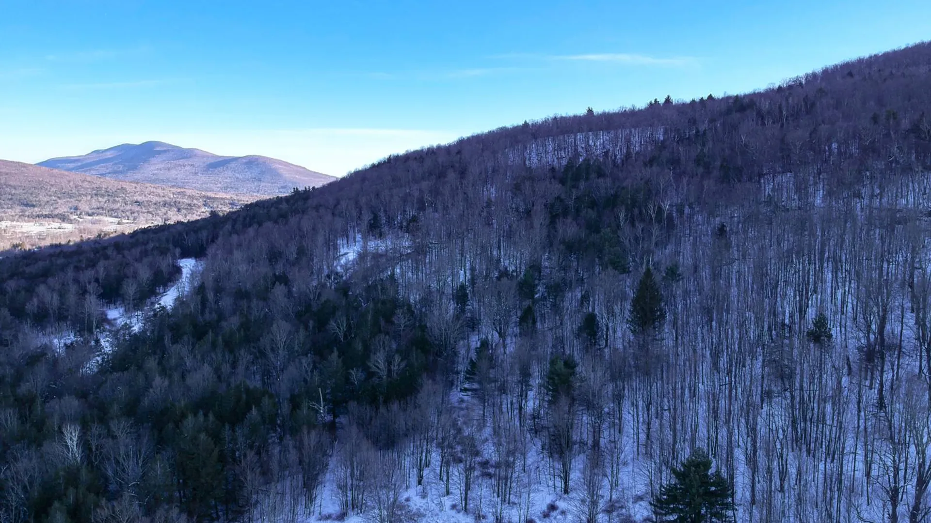 Property at L44.10 Panarama Ln, Windham, NY 12496 3