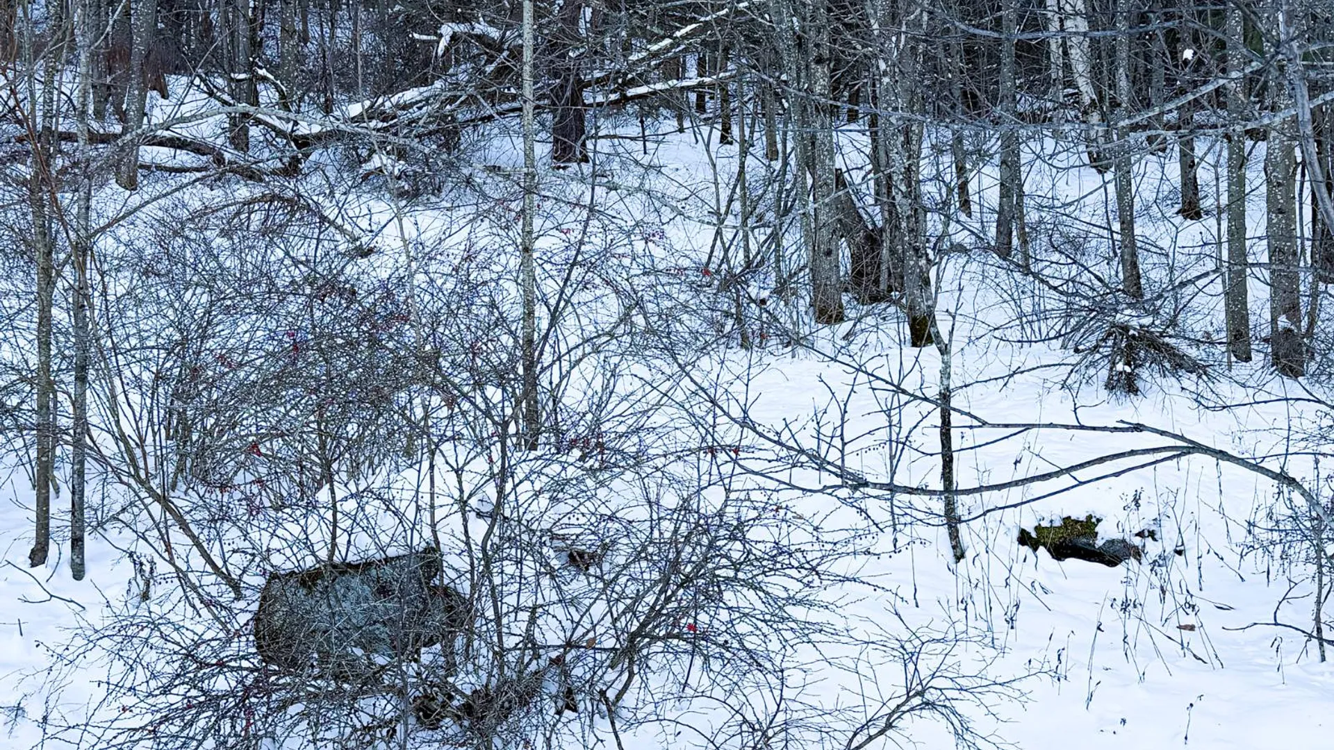 Property at L44.10 Panarama Ln, Windham, NY 12496 5