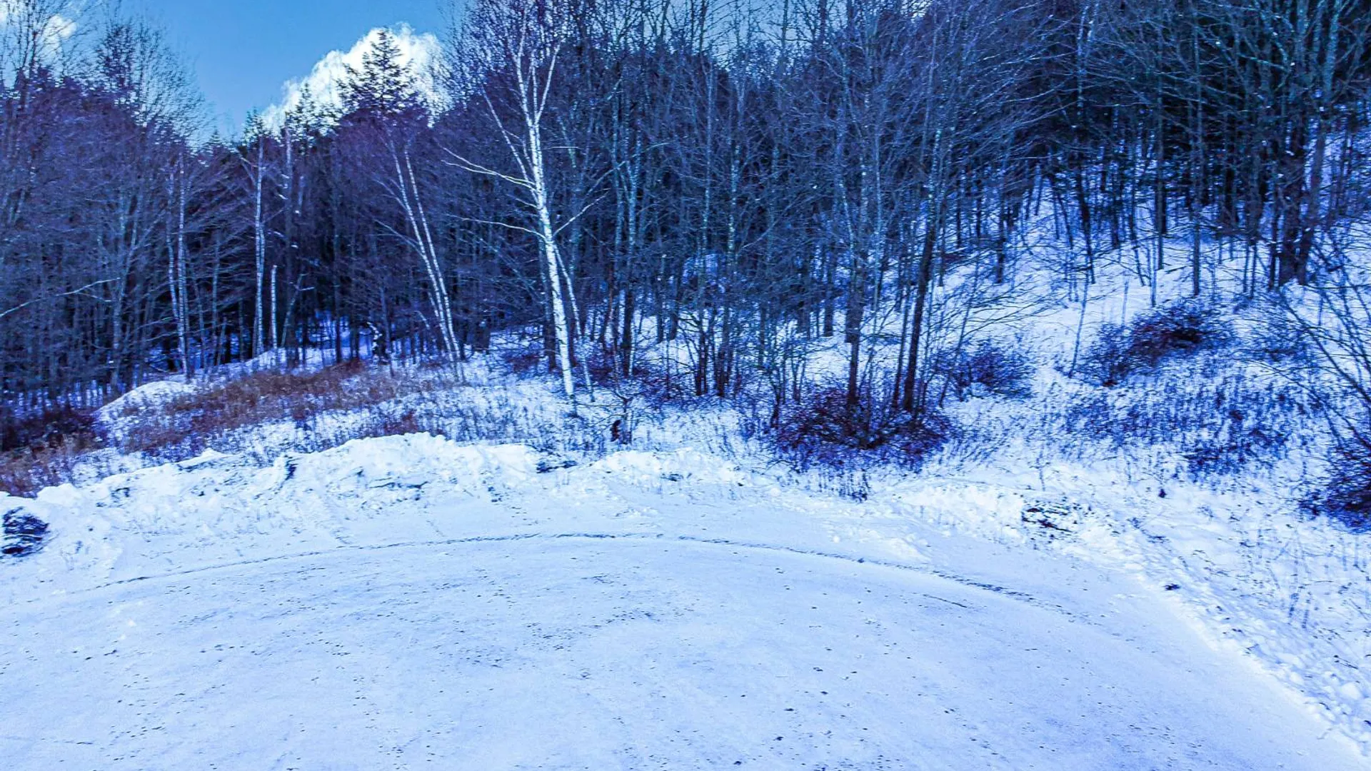 Property at L44.10 Panarama Ln, Windham, NY 12496 8