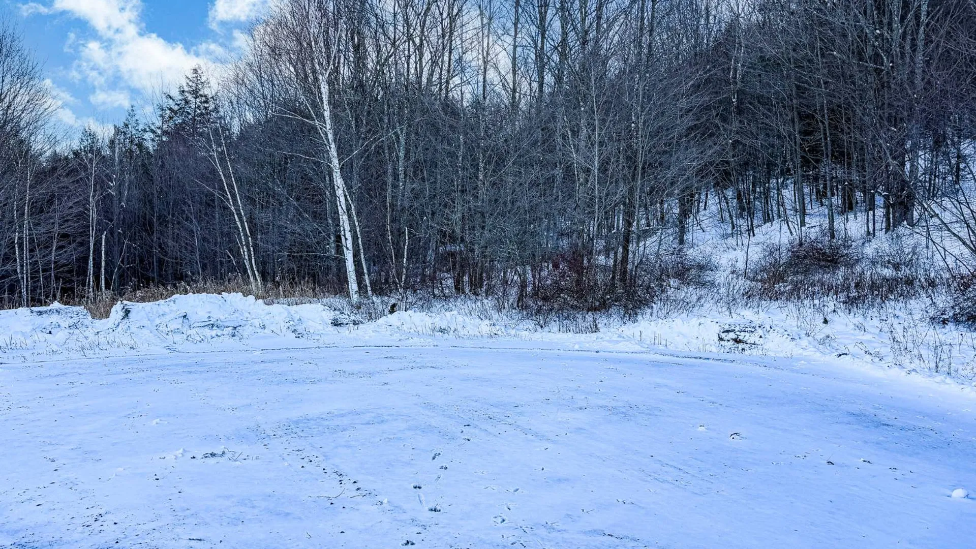 Property at L44.10 Panarama Ln, Windham, NY 12496 9