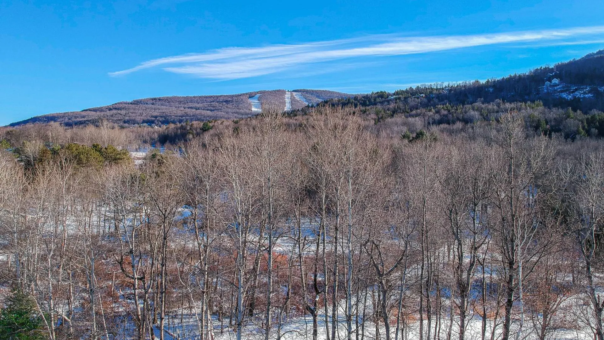 Property at L19.12 South St, Windham, NY 12496 4