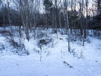 Property at L45.11 Panarama Ln, Windham, NY 12496