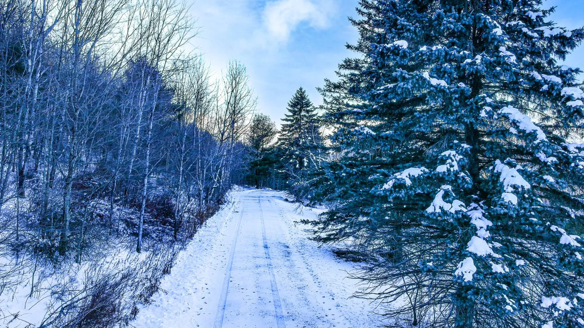 Property at L46.111 Panarama Ln, Windham, NY 12496 2