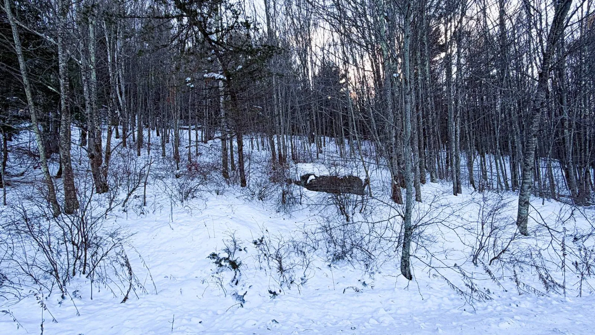 Property at L46.111 Panarama Ln, Windham, NY 12496 4