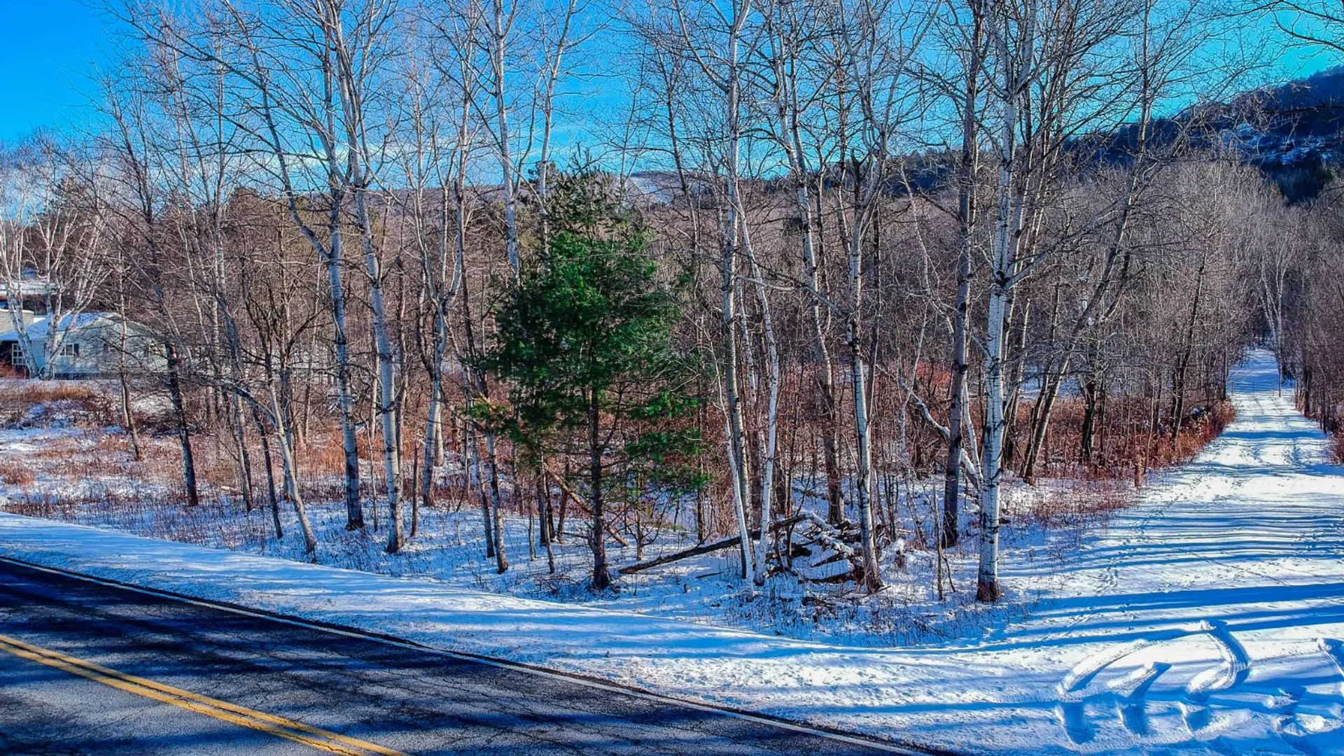 Property at L19.11 South St, Windham, NY 12496 11