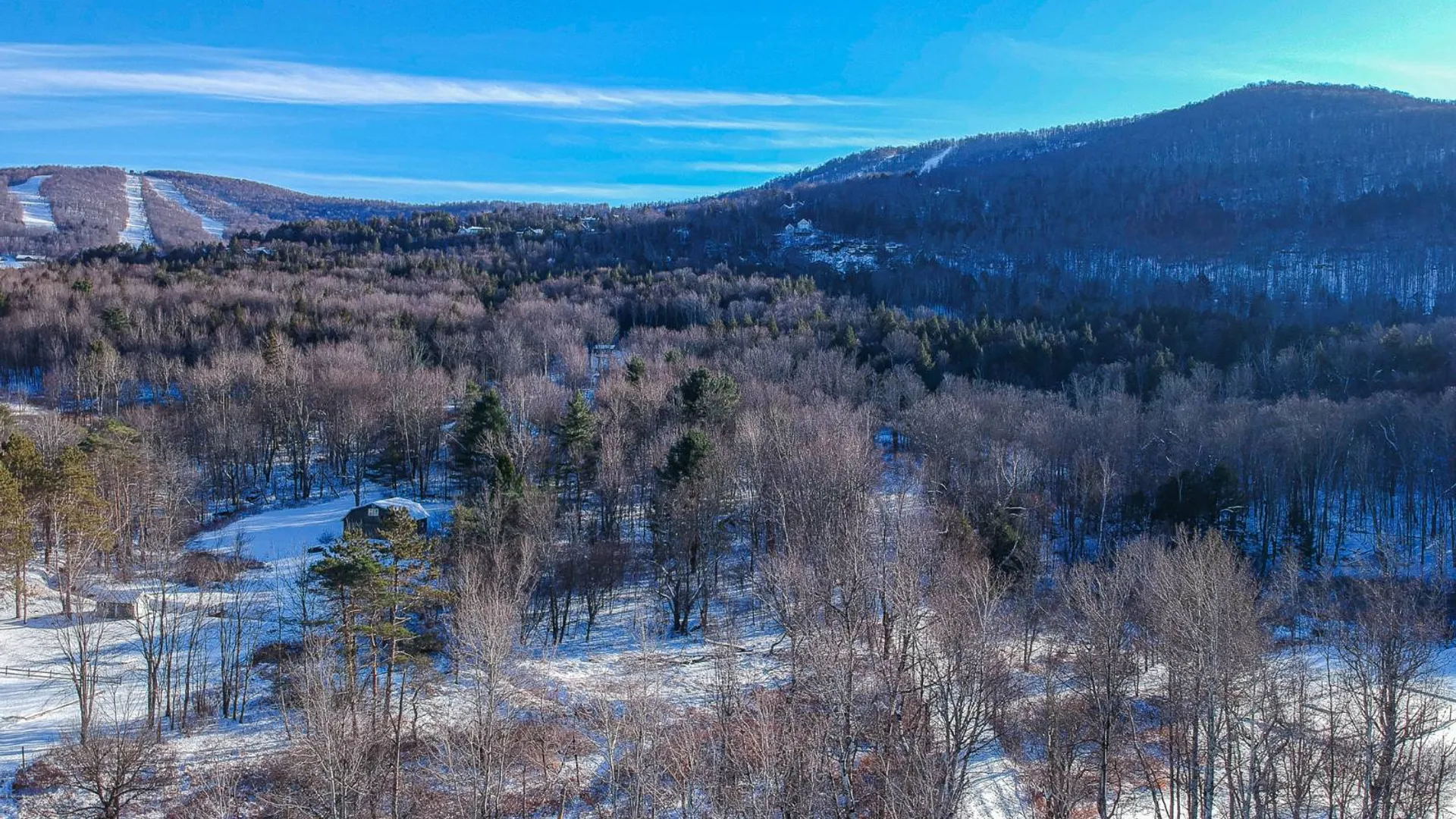 Property at L19.11 South St, Windham, NY 12496 5