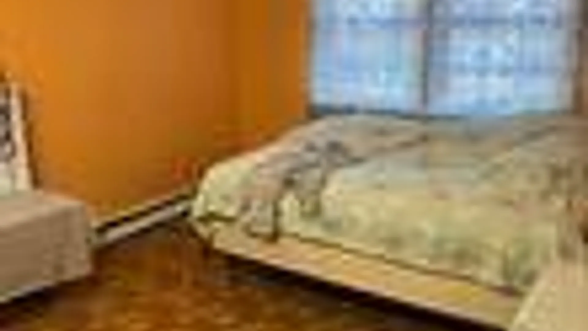 Property at 489 Eastern St, Ronkonkoma, NY 11779 10