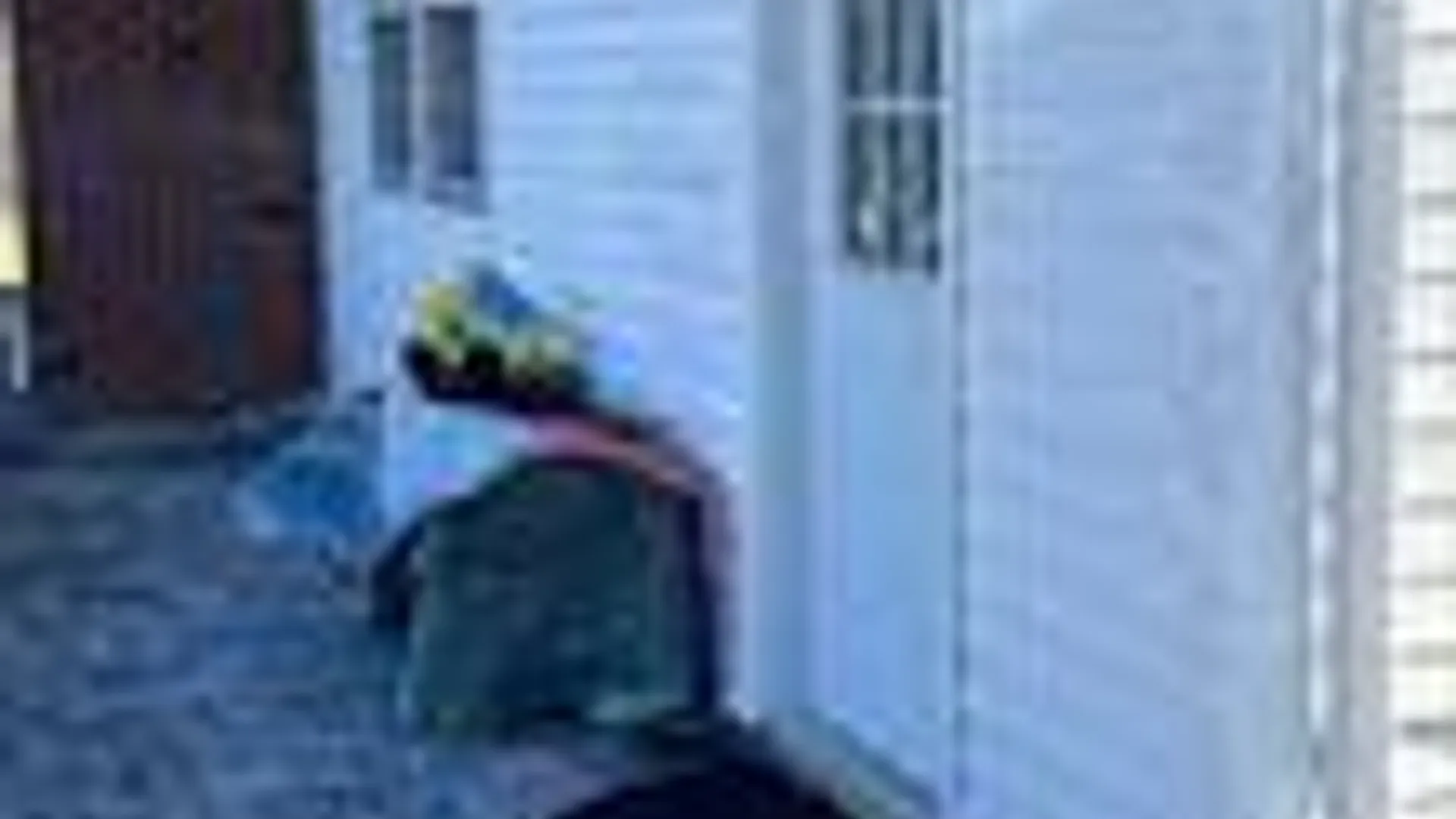 Property at 489 Eastern St, Ronkonkoma, NY 11779 3