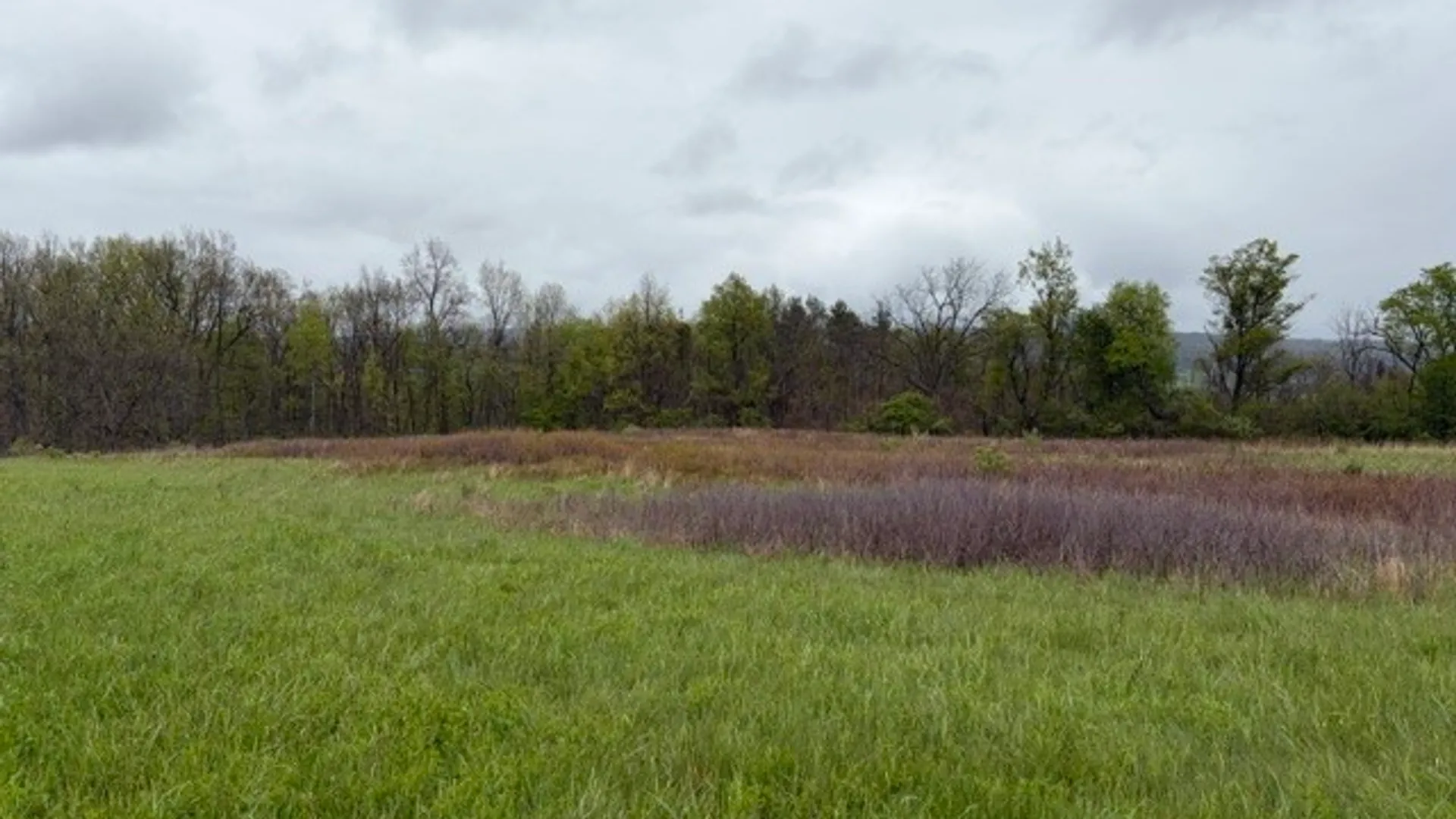 Property at Rt-414, Dix, NY 14865 12