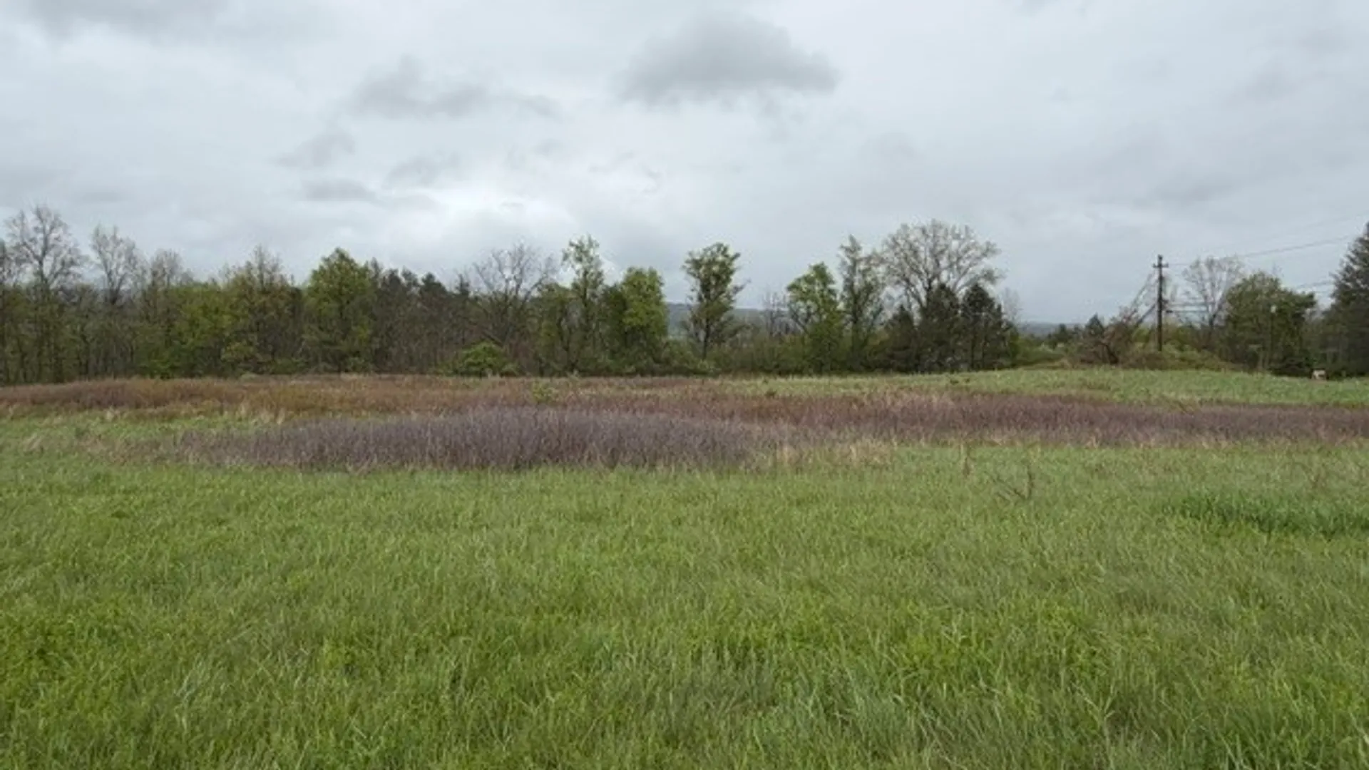 Property at Rt-414, Dix, NY 14865 13
