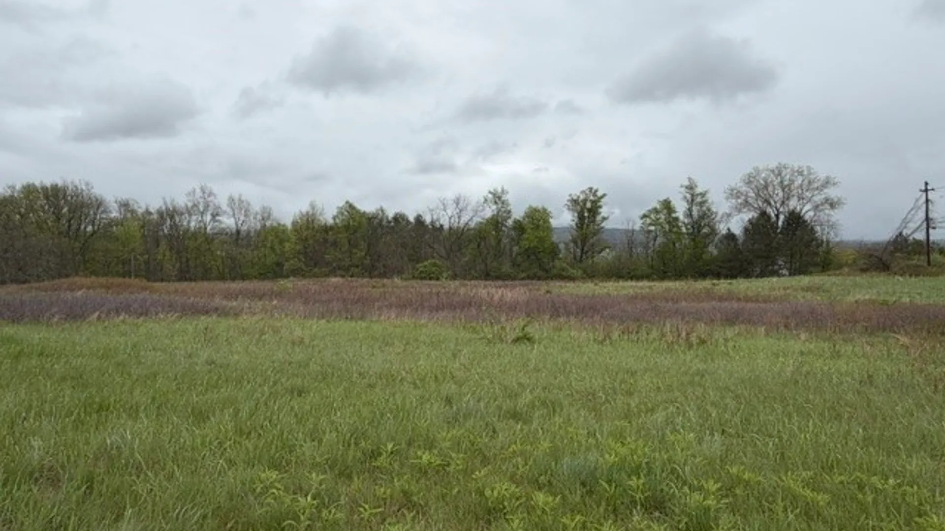 Property at Rt-414, Dix, NY 14865 15