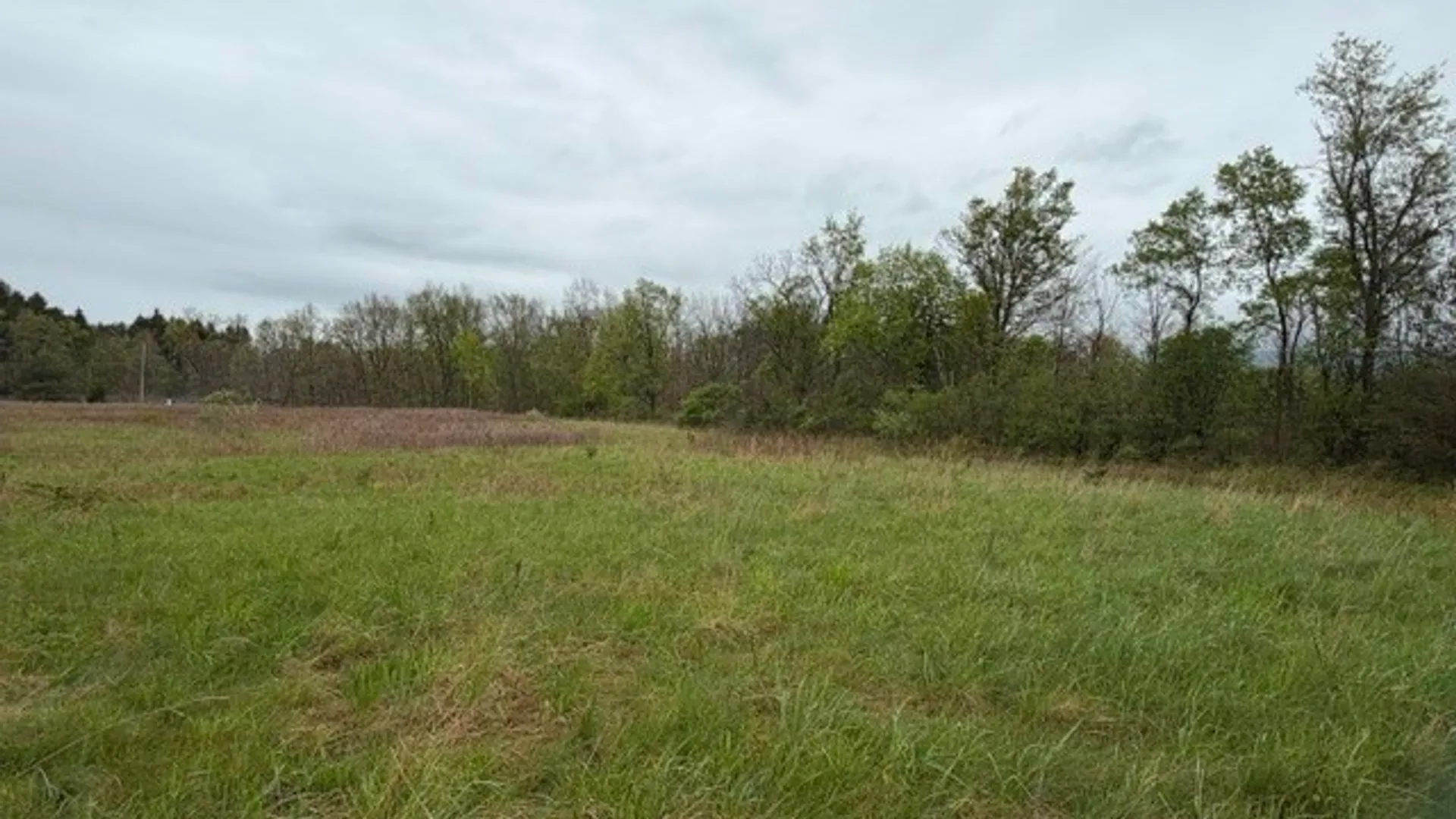 Property at Rt-414, Dix, NY 14865 8