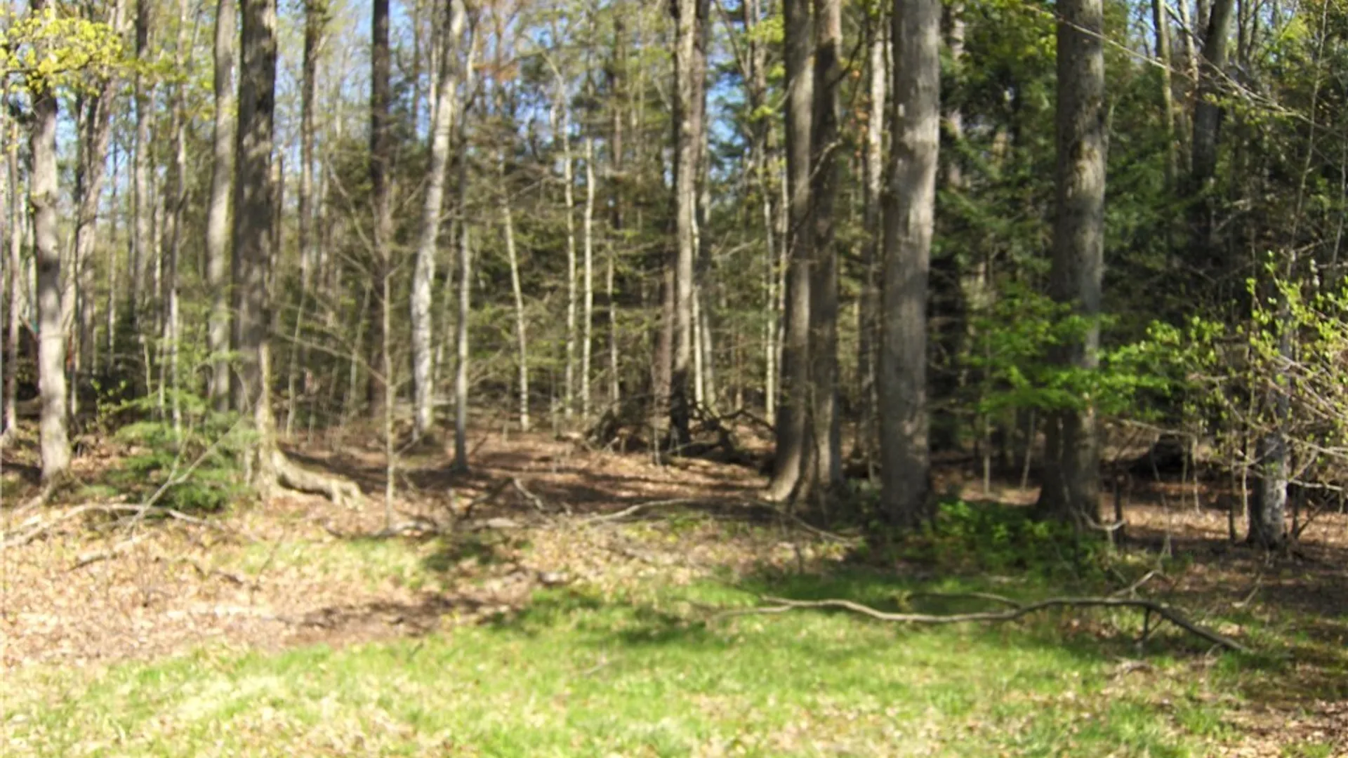 Property at 3432 Wepax Road, Eden, NY 14057 6