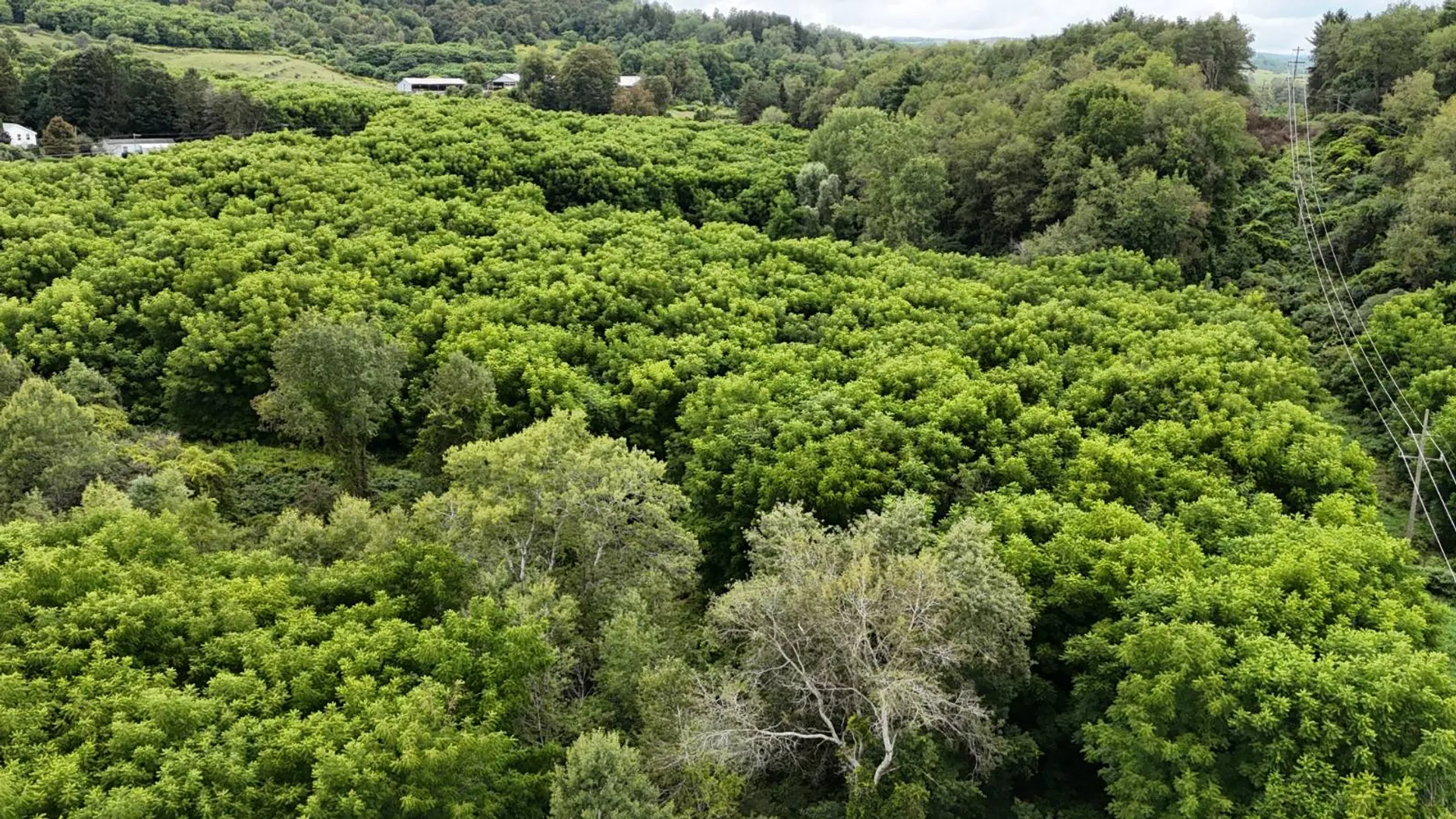 Property at 00 County Rd 14, Earlville, NY 13332 10