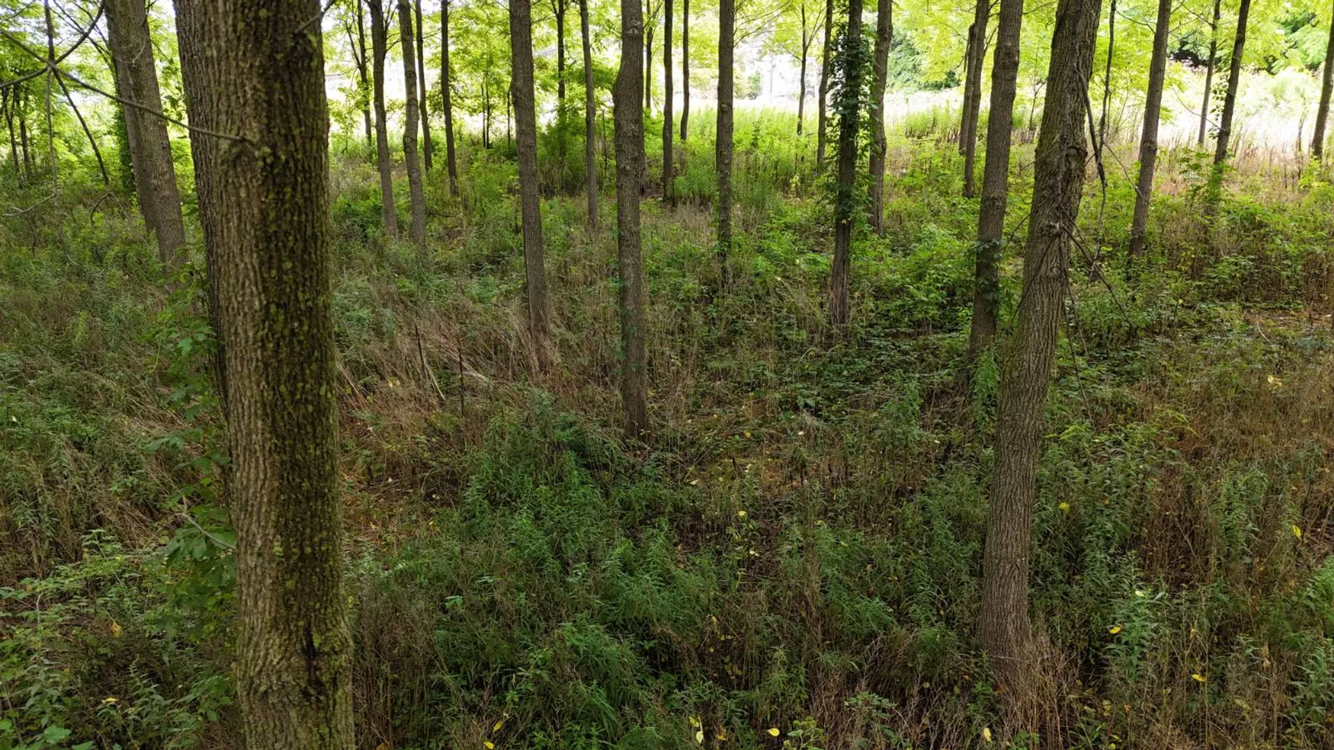 Property at 00 County Rd 14, Earlville, NY 13332 11