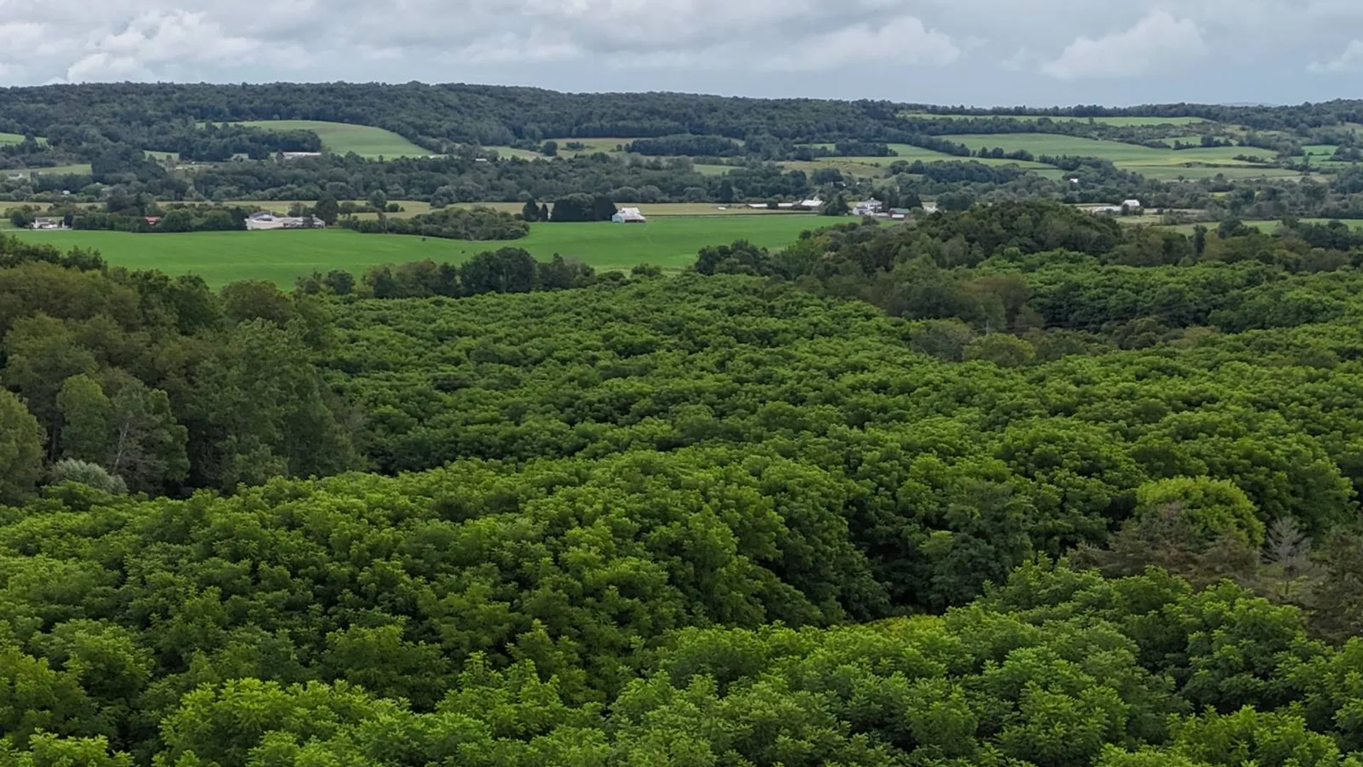 Property at 00 County Rd 14, Earlville, NY 13332 16