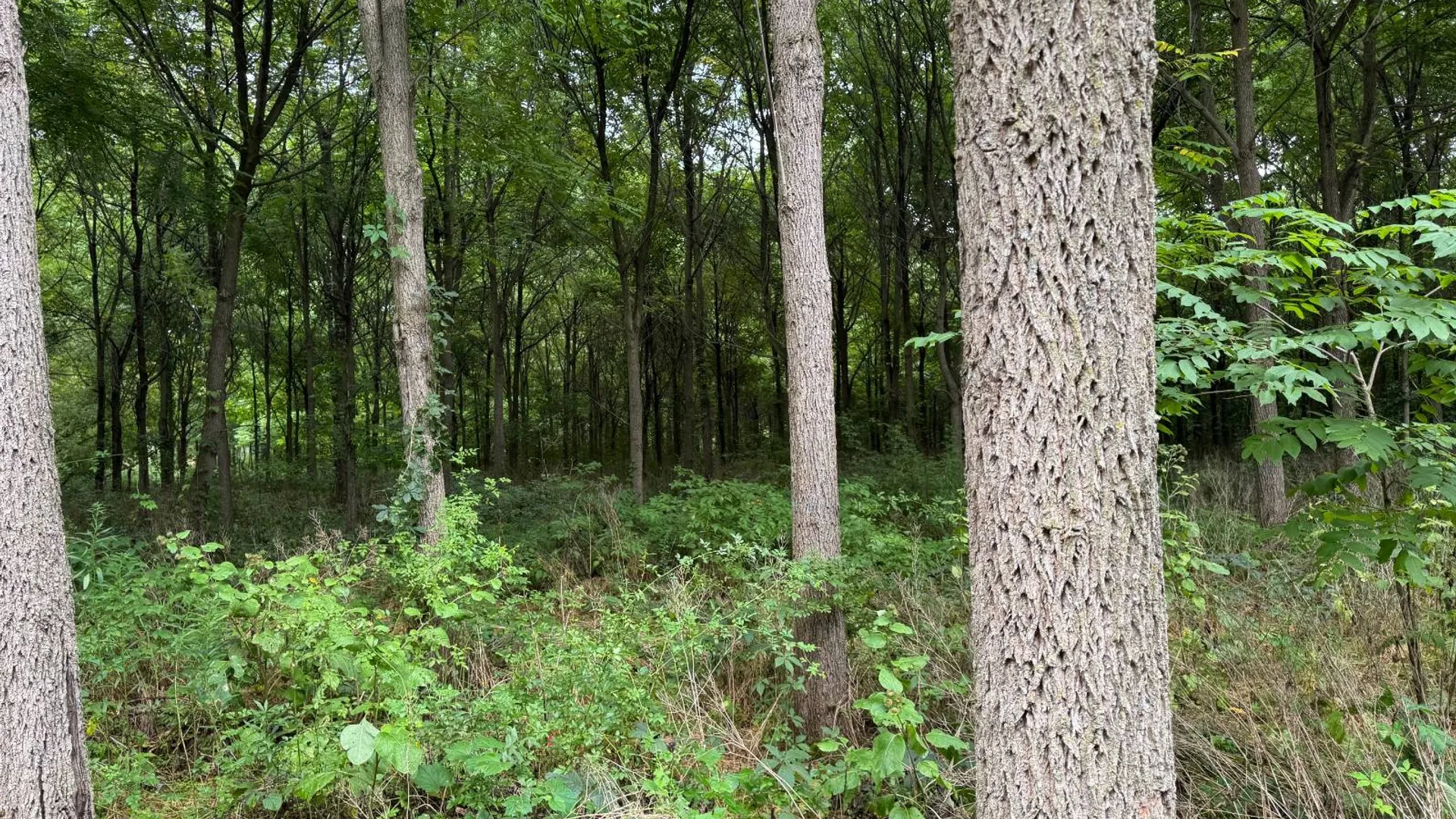 Property at 00 County Rd 14, Earlville, NY 13332 18