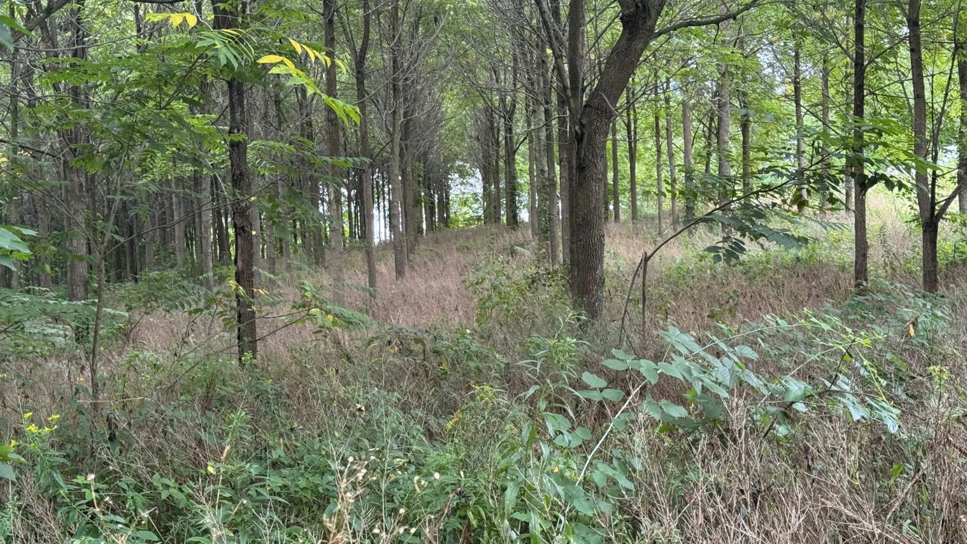 Property at 00 County Rd 14, Earlville, NY 13332 19