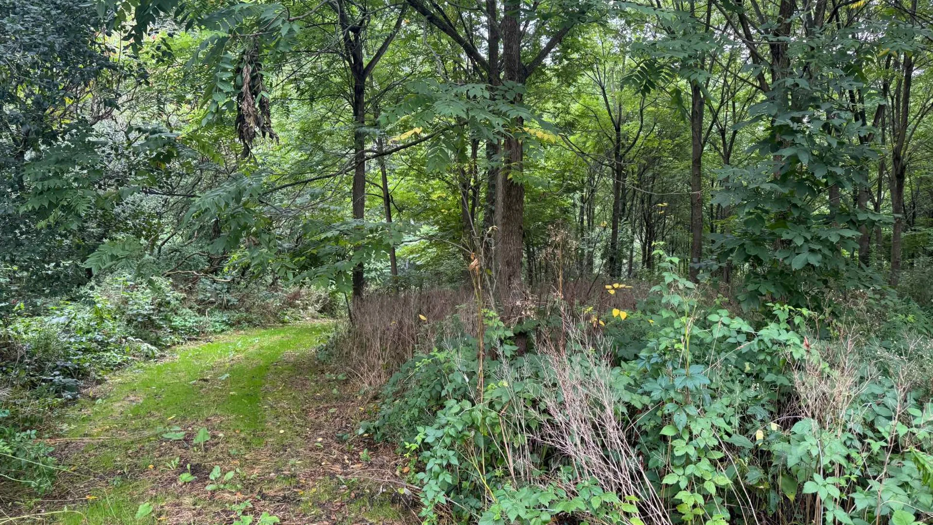 Property at 00 County Rd 14, Earlville, NY 13332 21