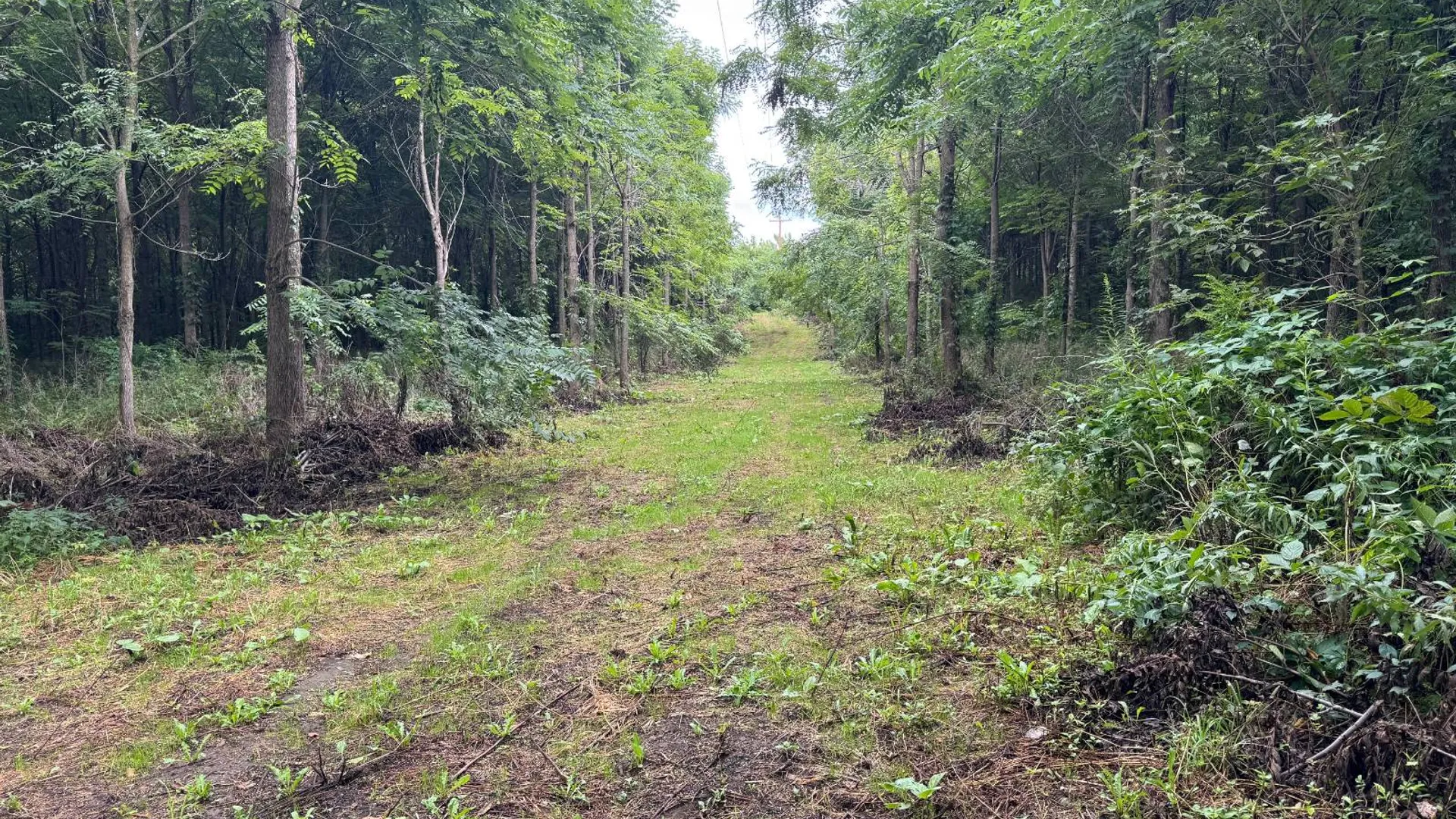 Property at 00 County Rd 14, Earlville, NY 13332 22