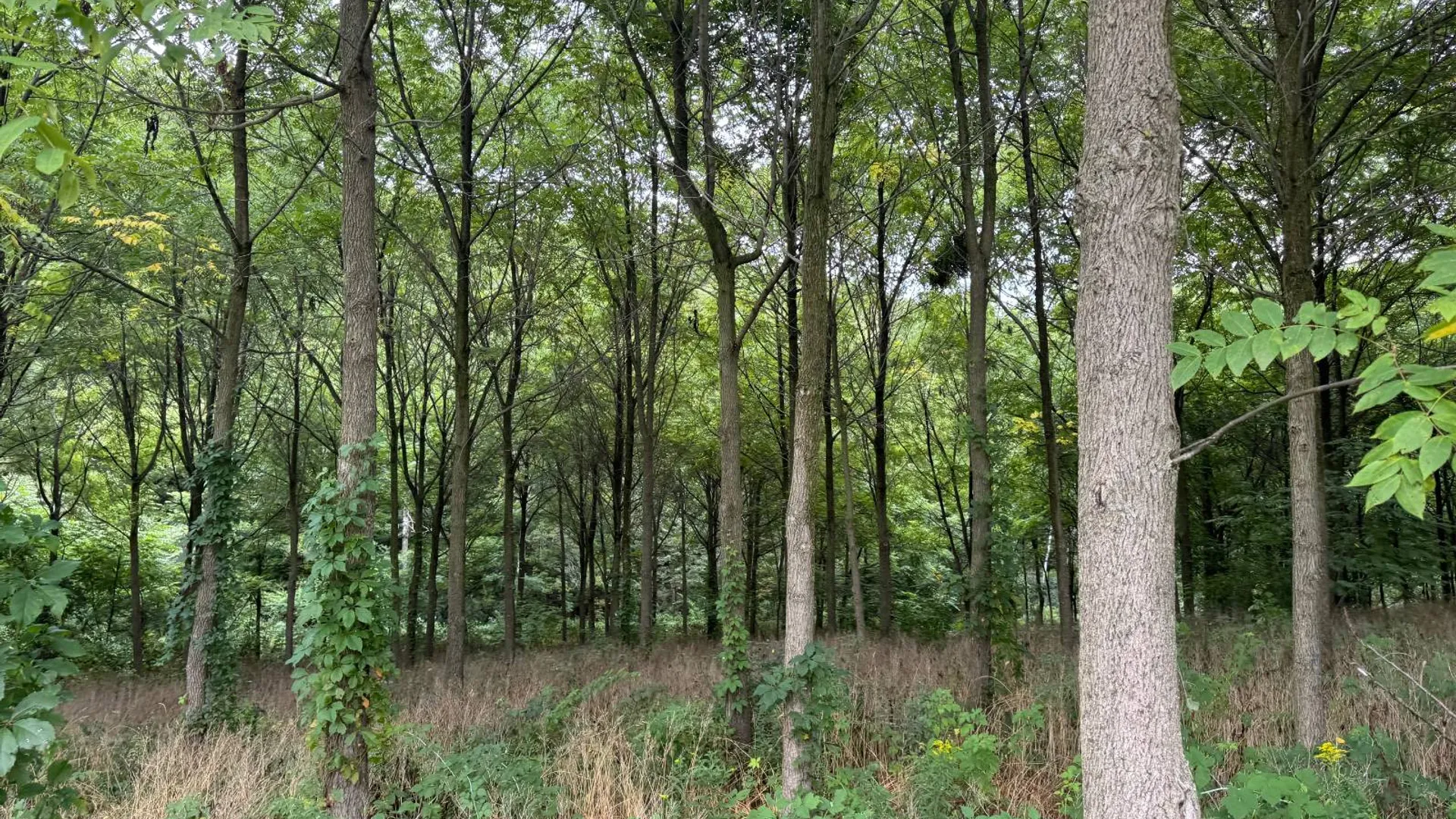 Property at 00 County Rd 14, Earlville, NY 13332 23