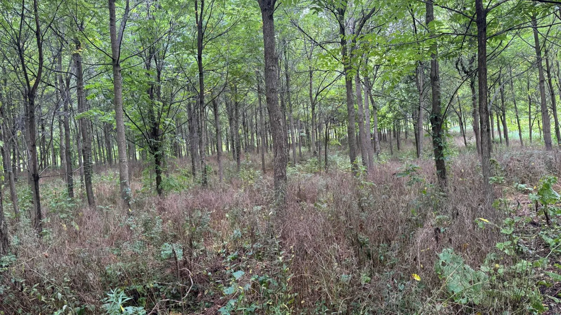 Property at 00 County Rd 14, Earlville, NY 13332 24
